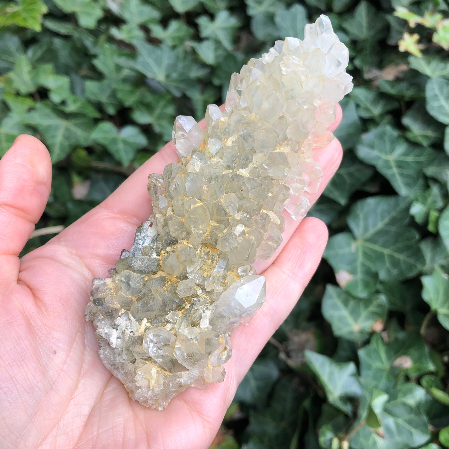 Chlorite Quartz Cluster Plate - Pakistan
