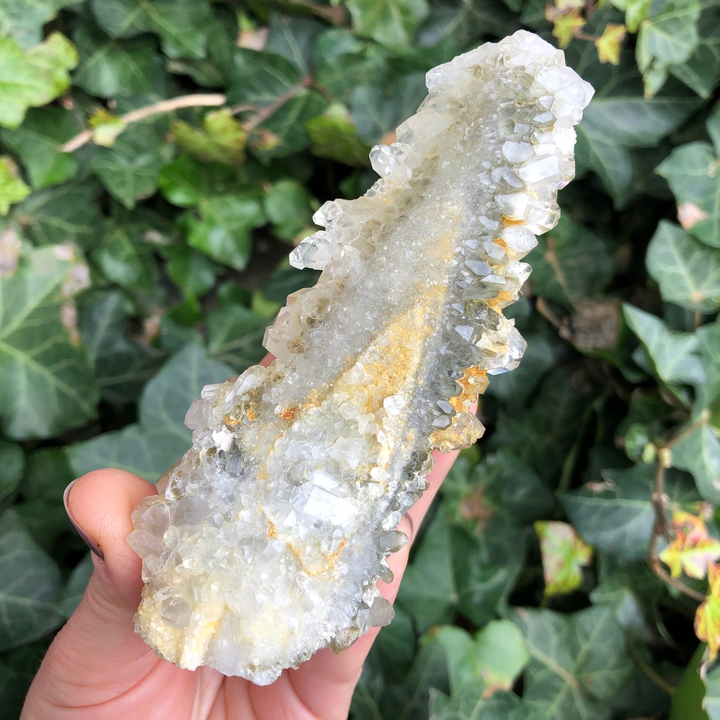 Chlorite Quartz Cluster Plate - Pakistan