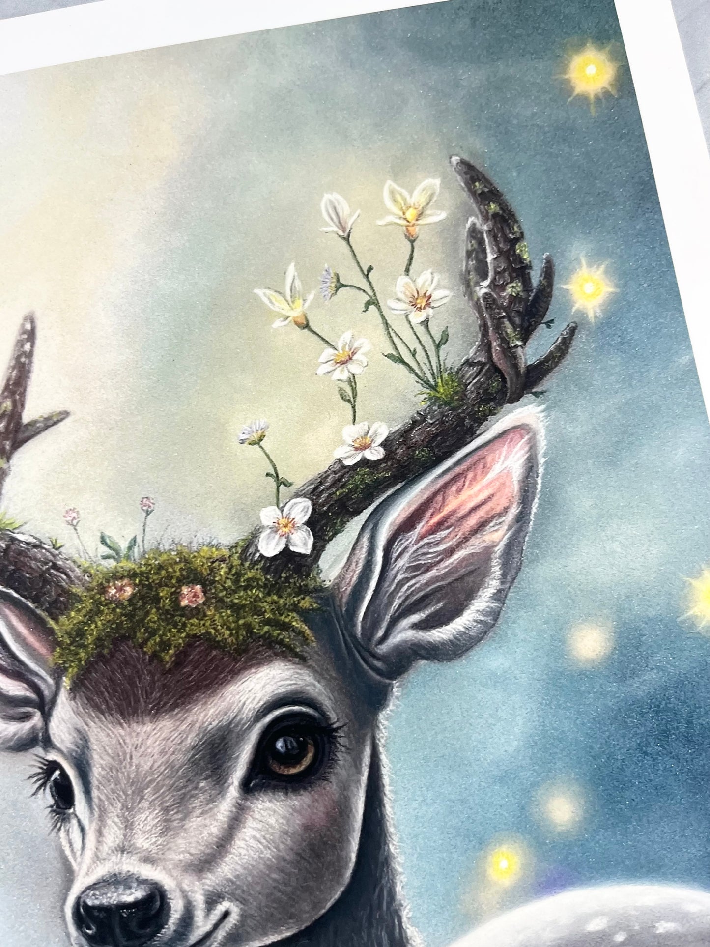 Fawn of the Peaceful Grove - Fine Art Print