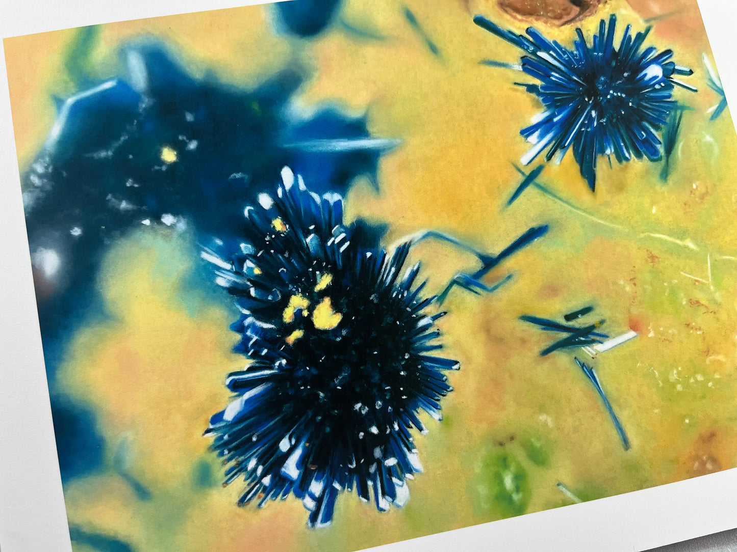 Clinoclase Micro - Nevada - Fine Art Print