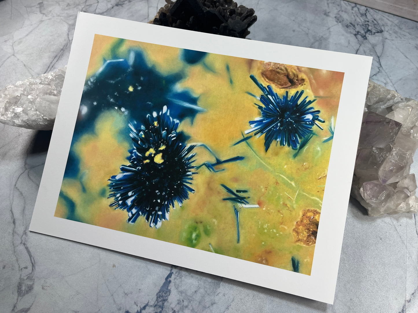 Clinoclase Micro - Nevada - Fine Art Print