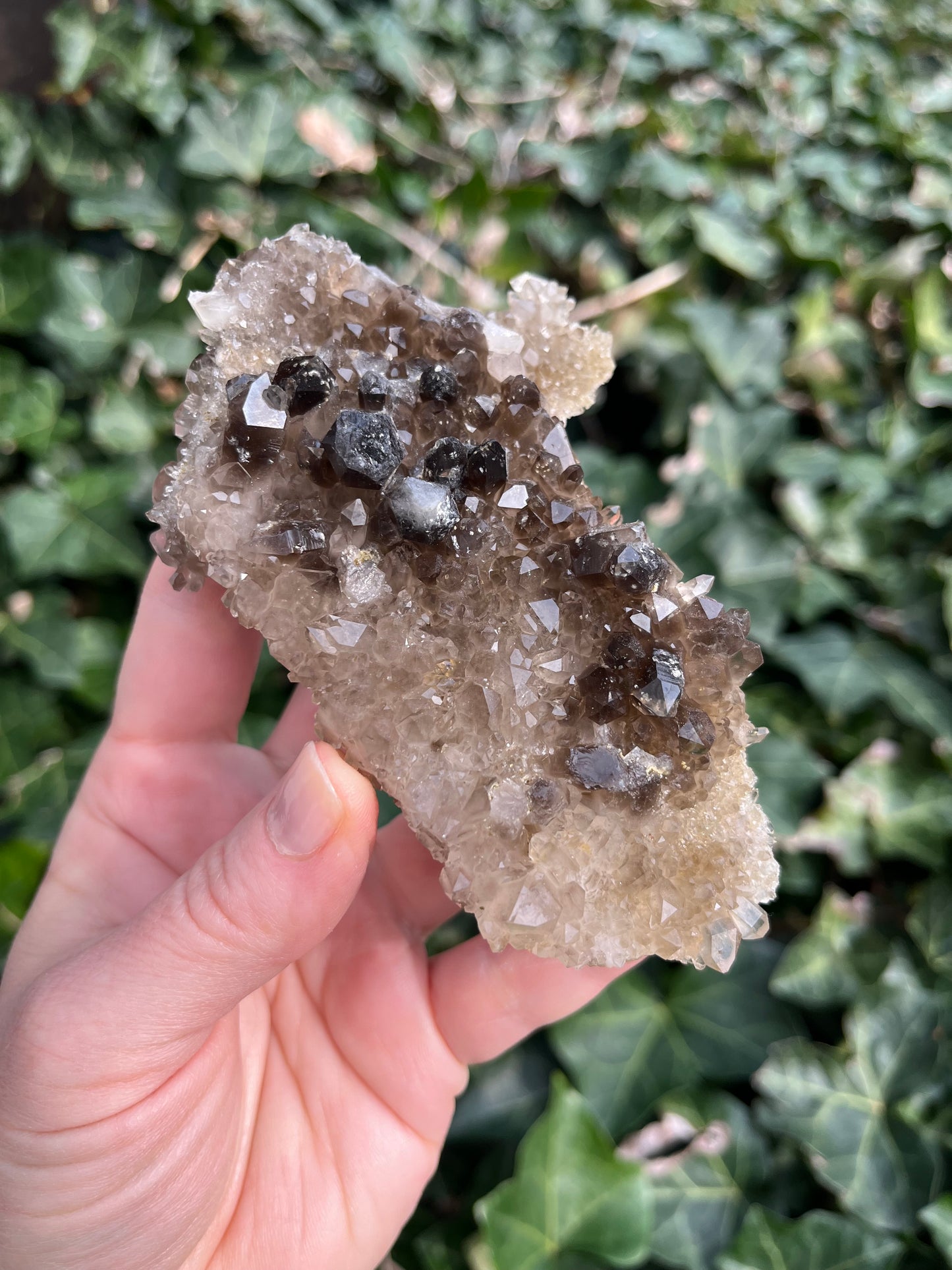 Smoky Quartz Cluster - Nevada