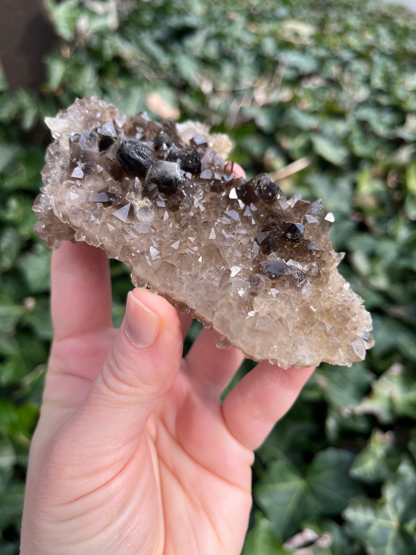 Smoky Quartz Cluster - Nevada