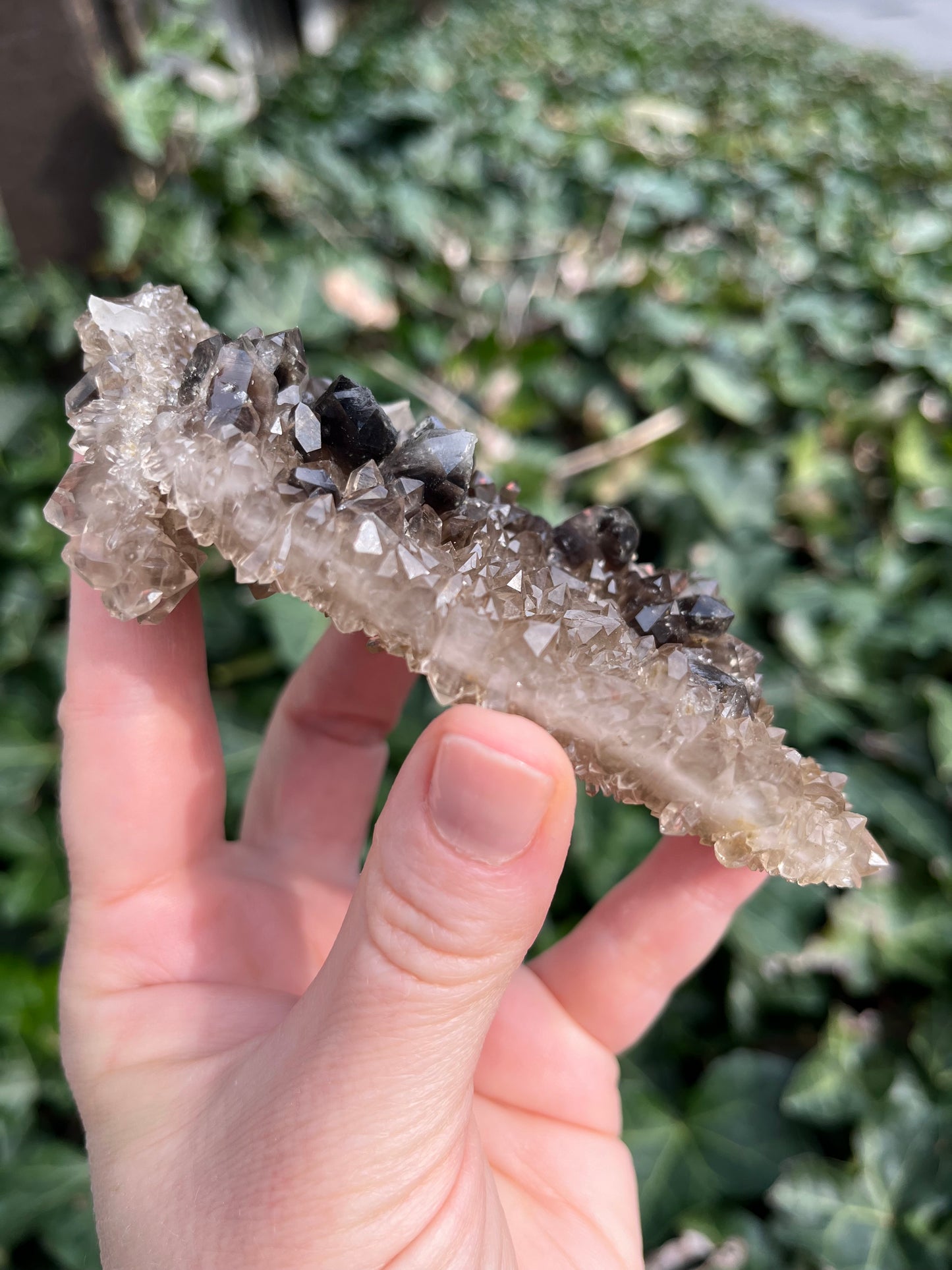 Smoky Quartz Cluster - Nevada