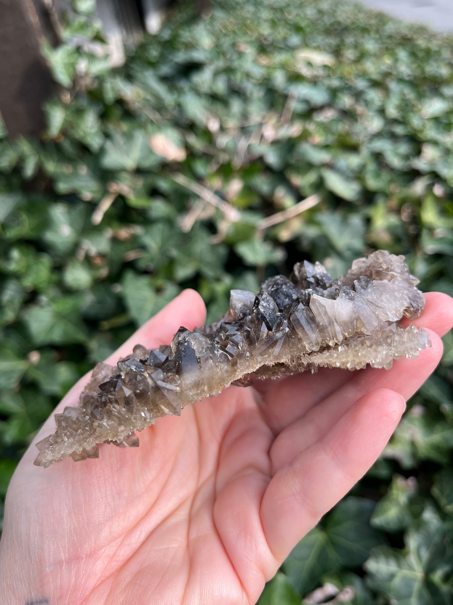 Smoky Quartz Cluster - Nevada