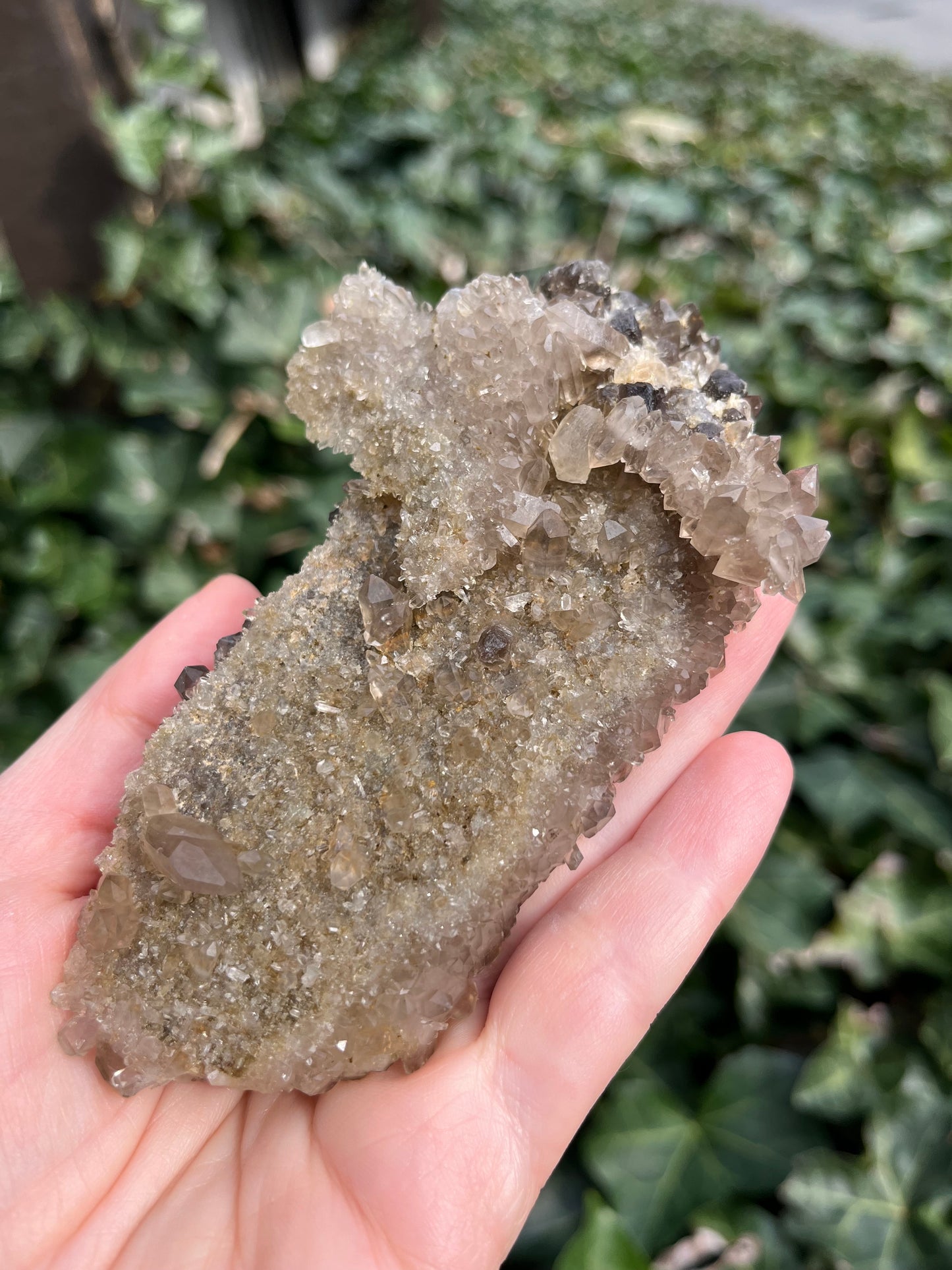Smoky Quartz Cluster - Nevada