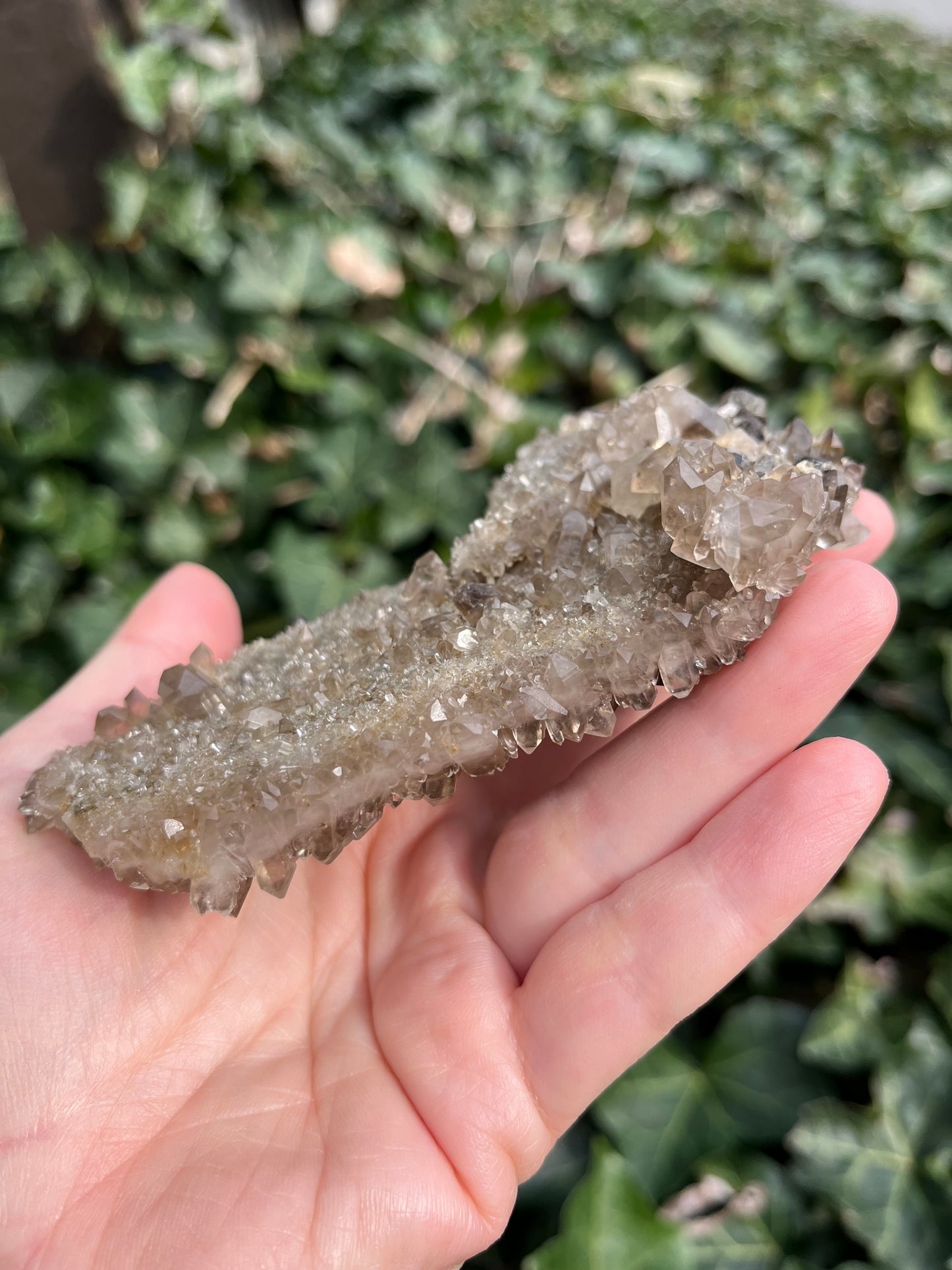 Smoky Quartz Cluster - Nevada