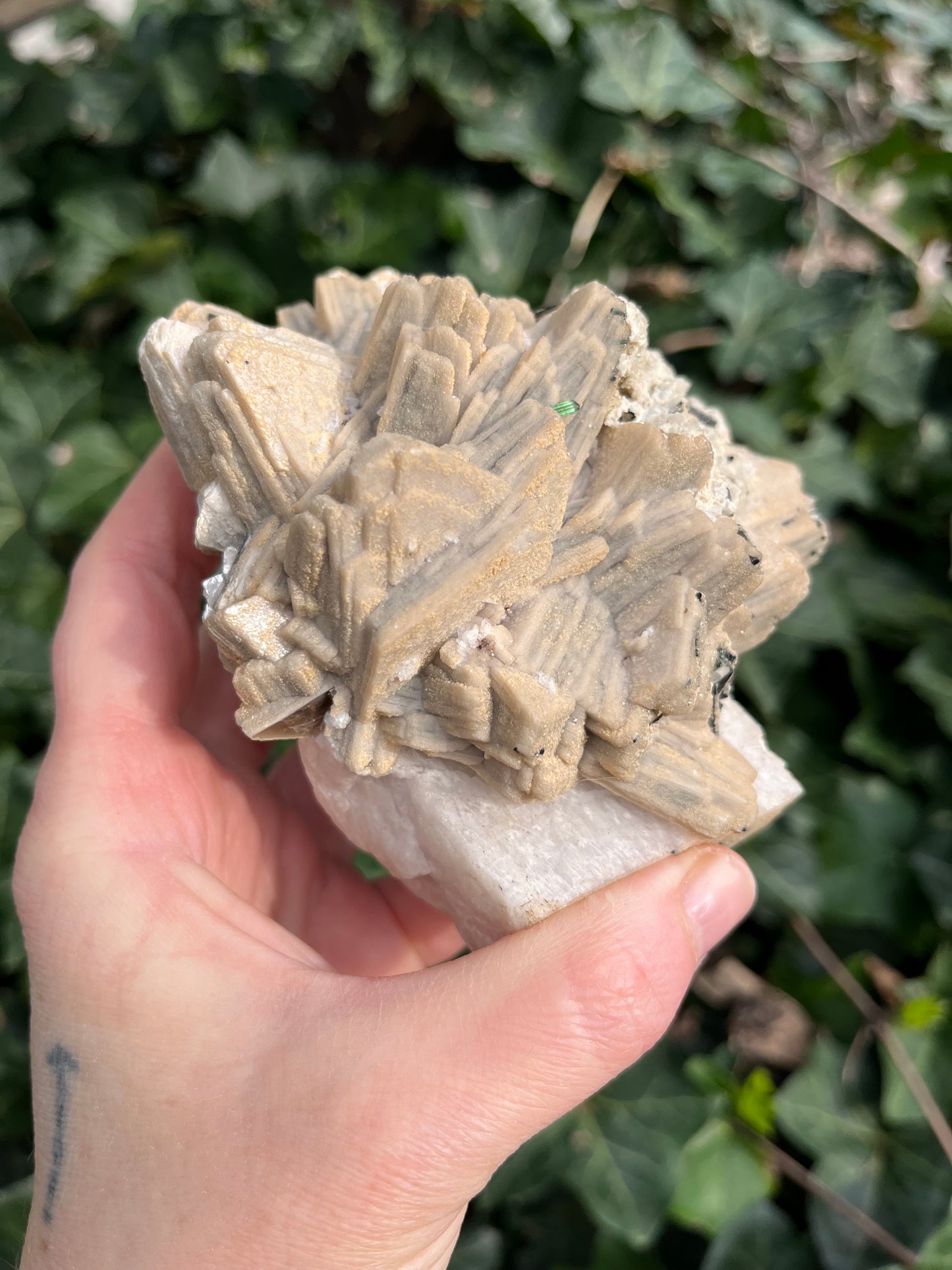 Feldspar coated Mica Flower with tourmaline - Pakistan