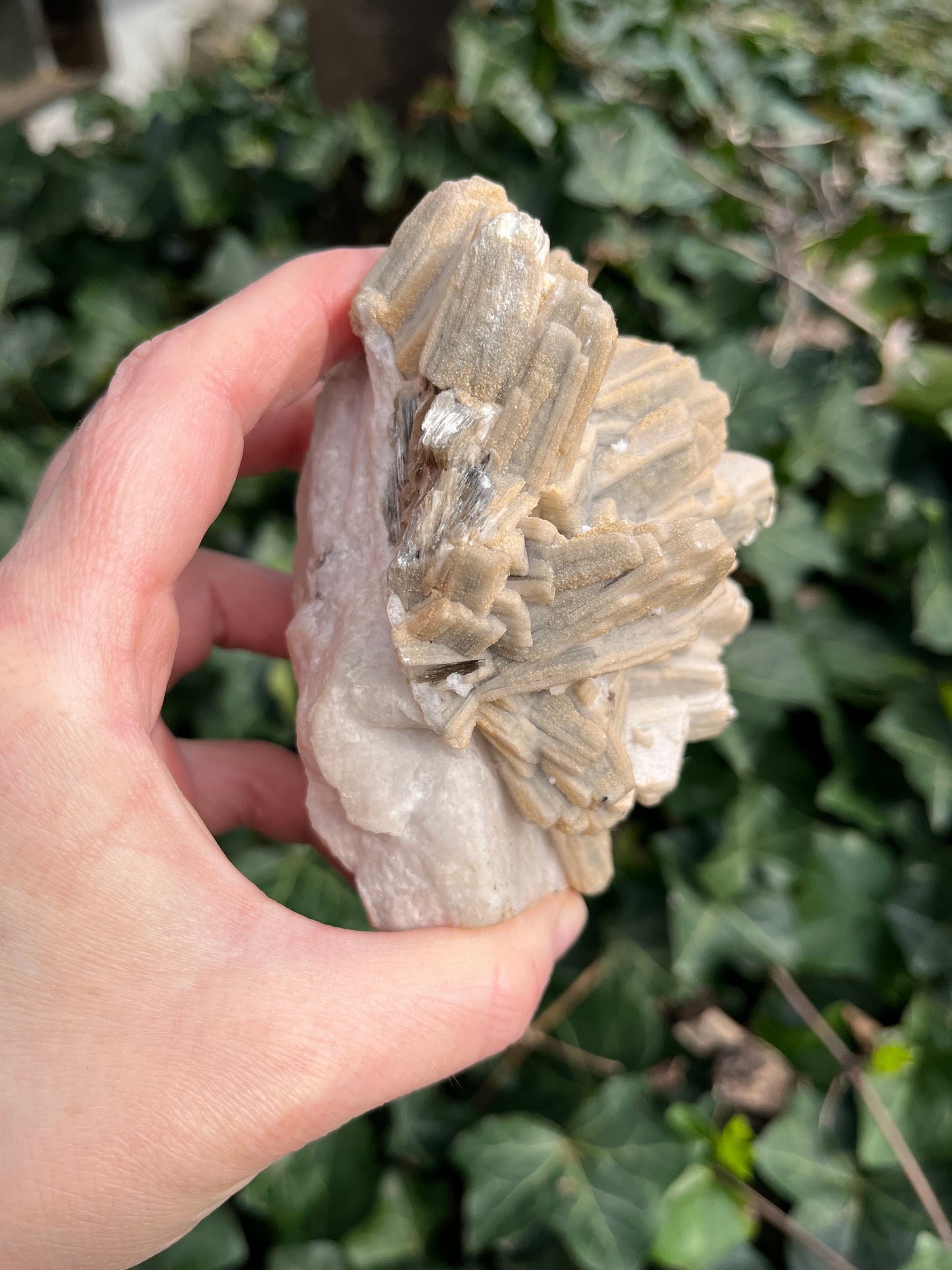 Feldspar coated Mica Flower with tourmaline - Pakistan