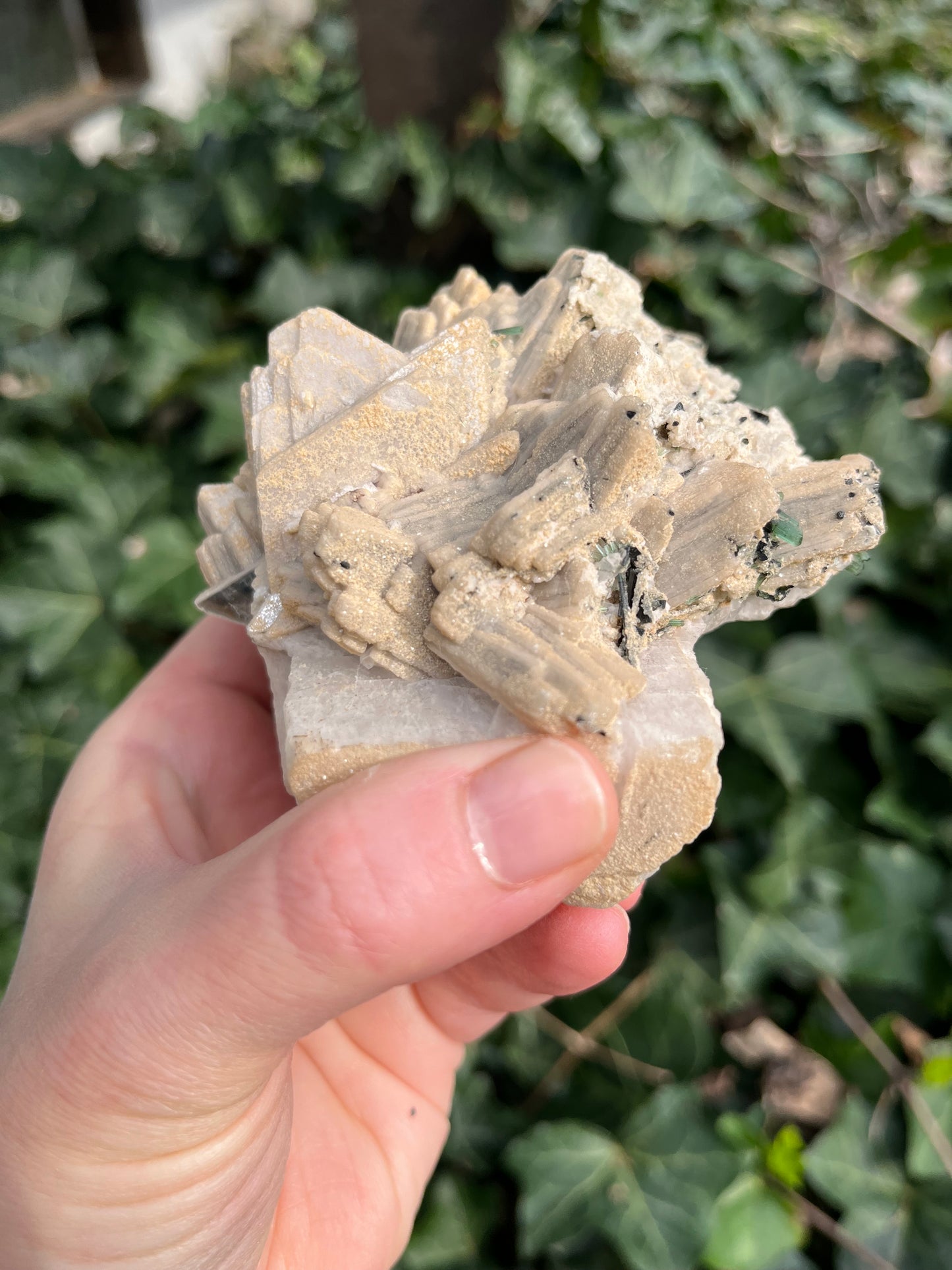 Feldspar coated Mica Flower with tourmaline - Pakistan