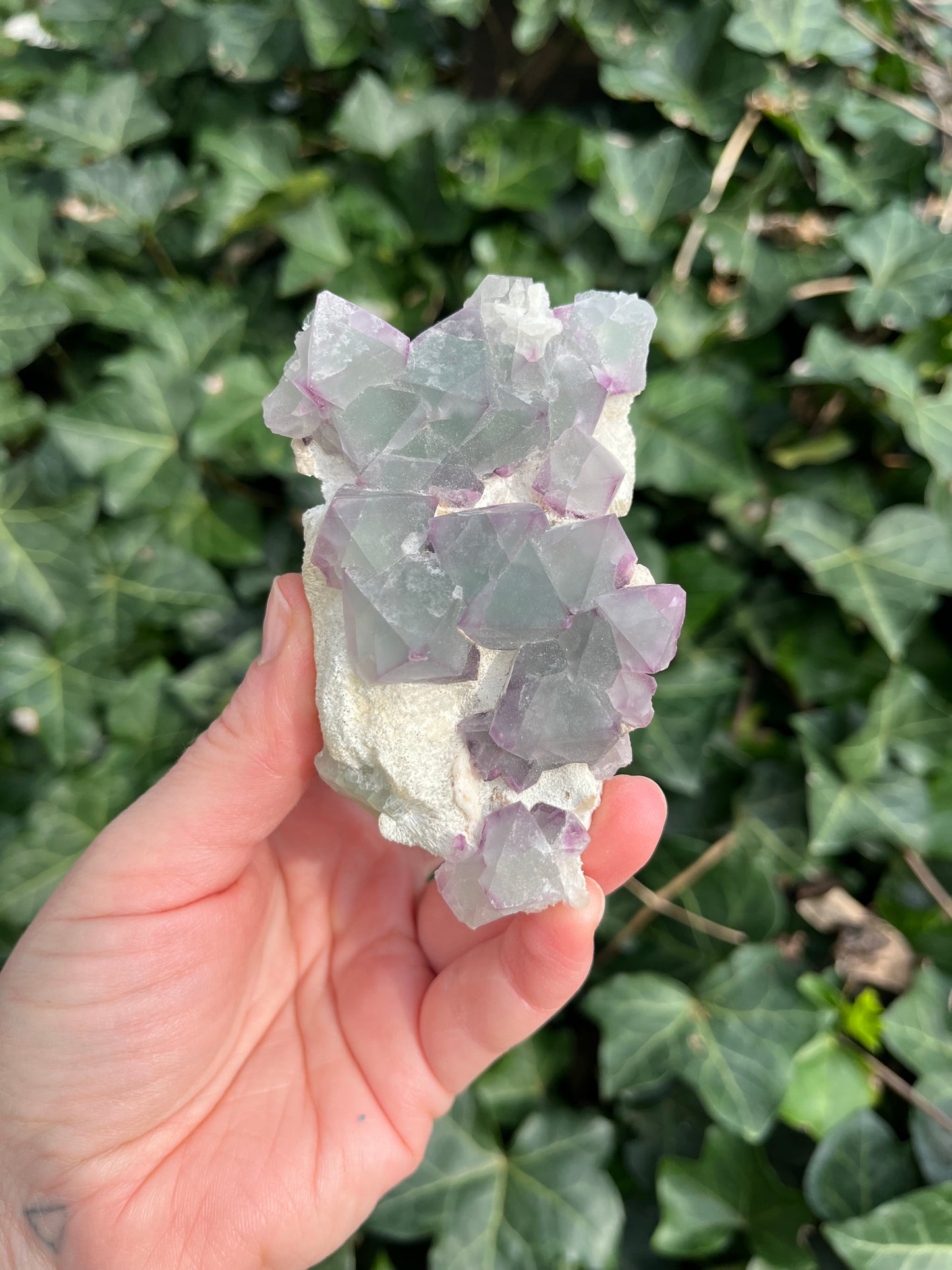 Octahedron Fluorite Cluster - China