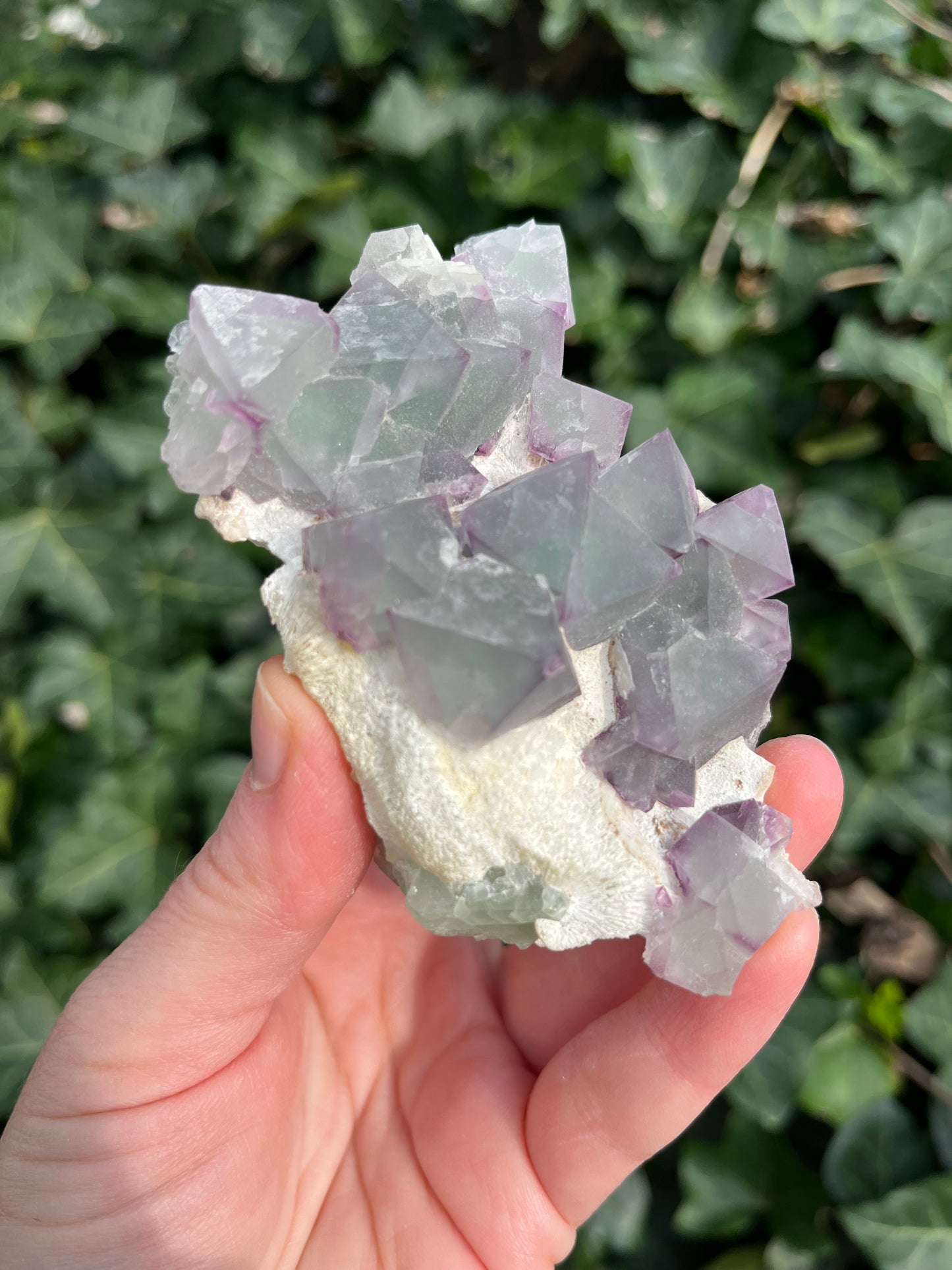 Octahedron Fluorite Cluster - China