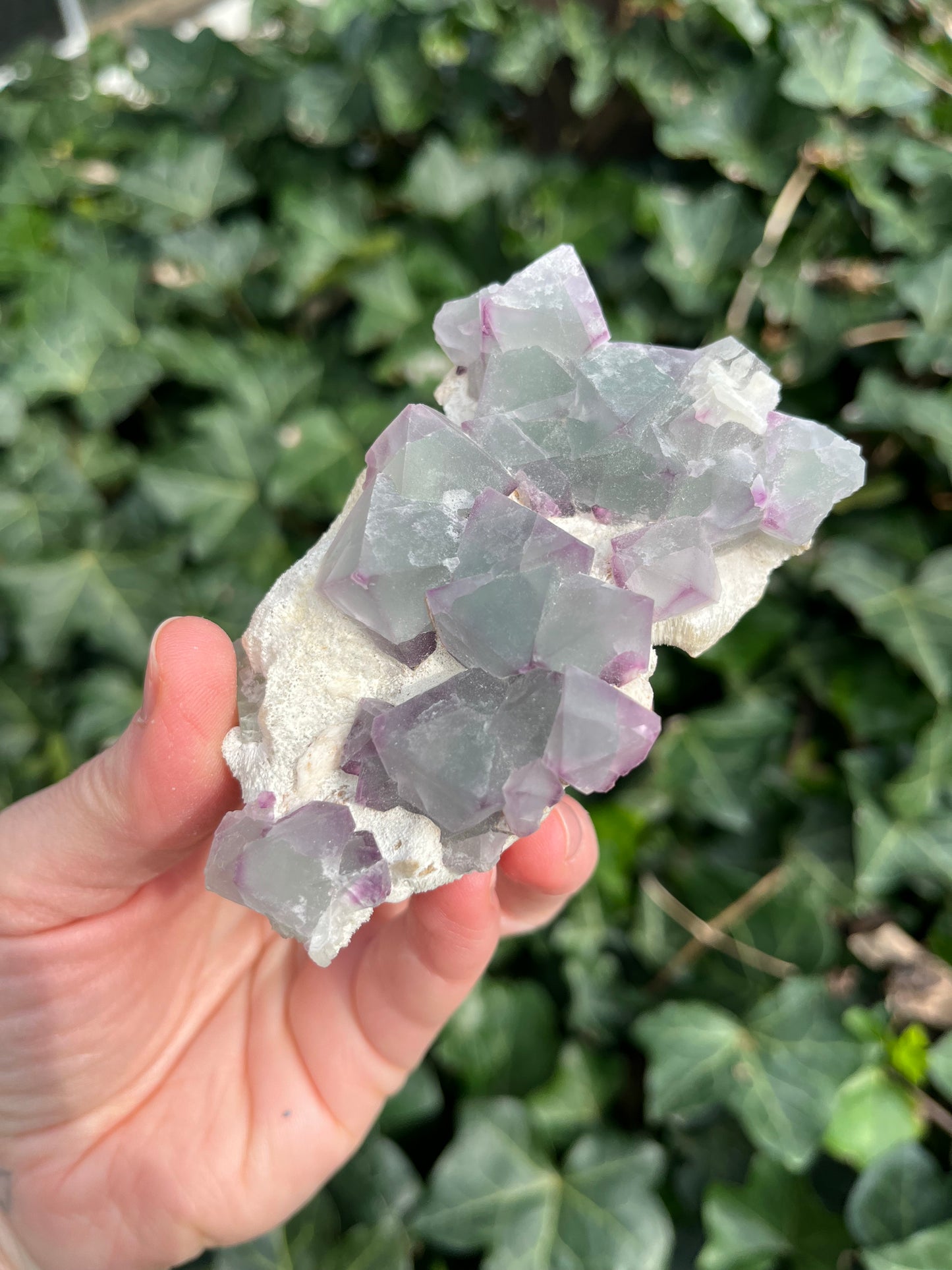 Octahedron Fluorite Cluster - China