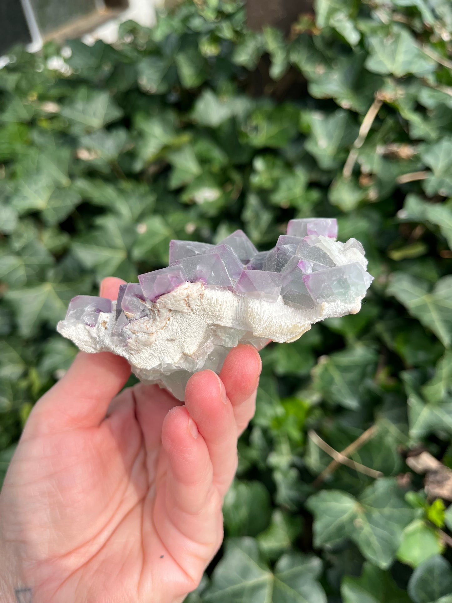 Octahedron Fluorite Cluster - China