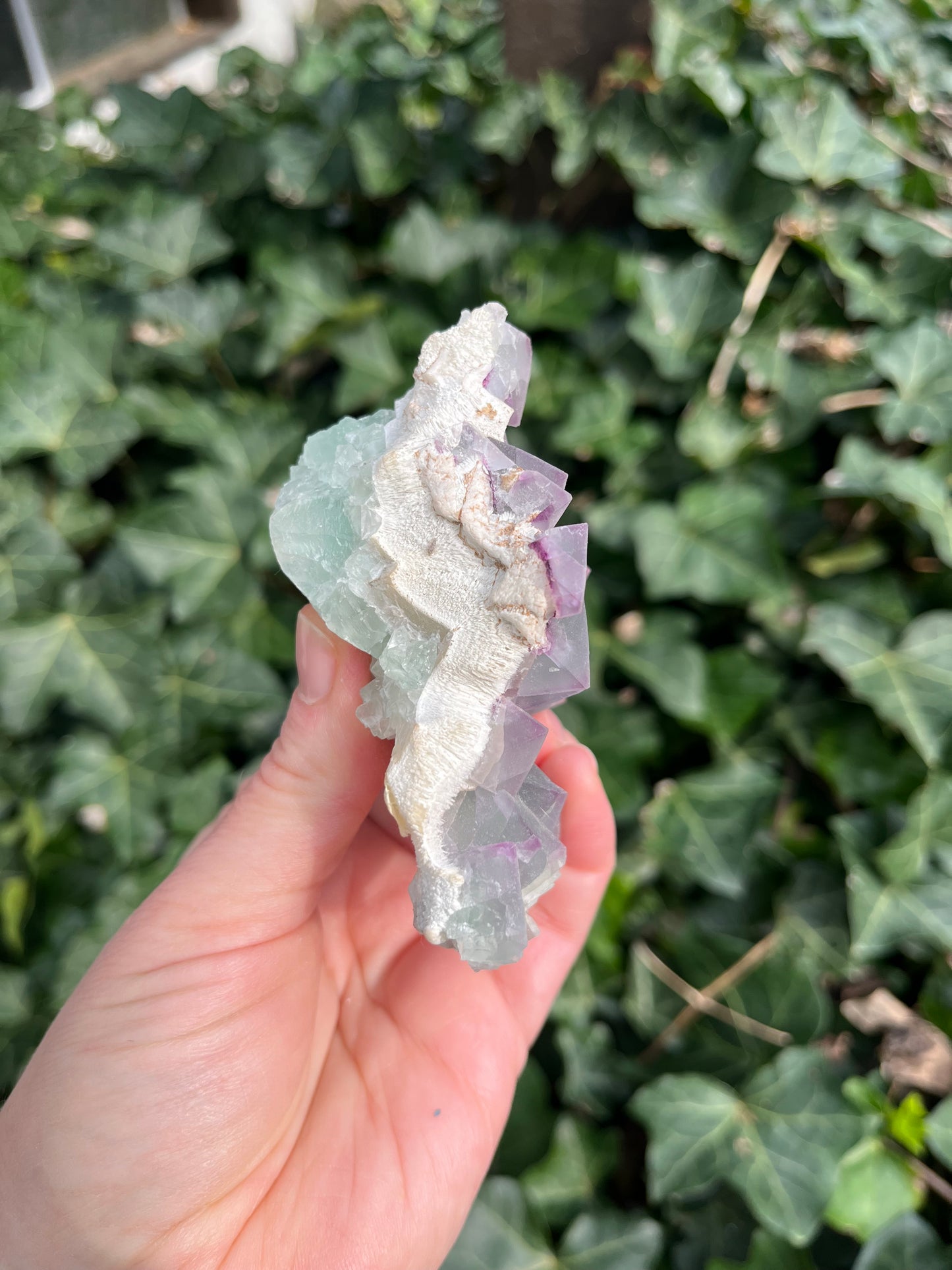Octahedron Fluorite Cluster - China