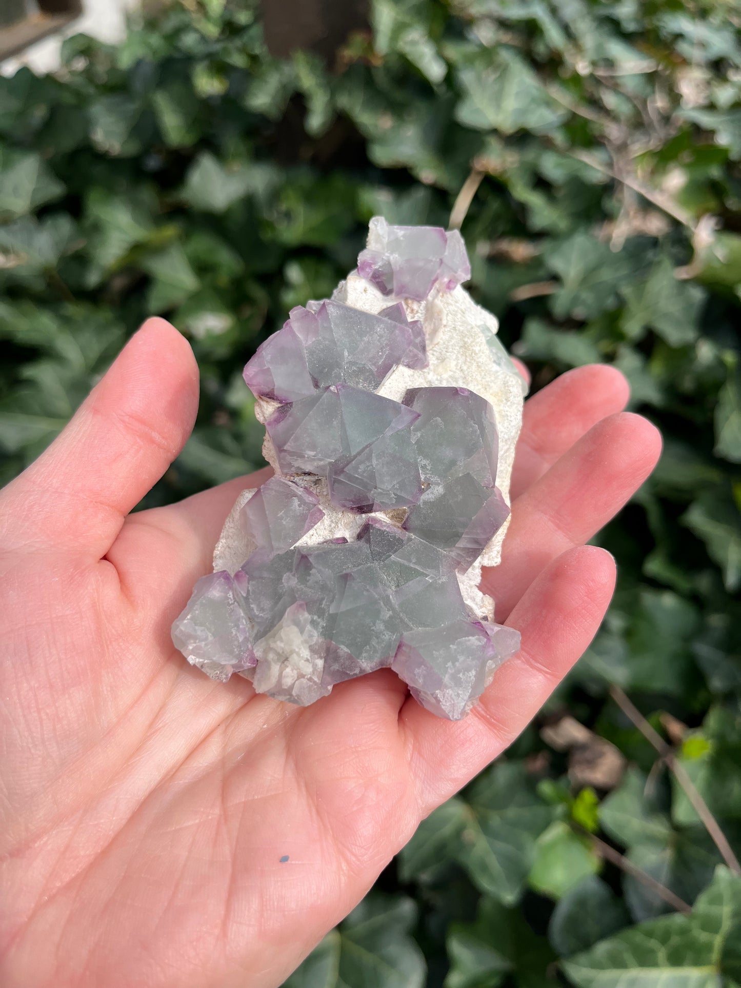Octahedron Fluorite Cluster - China