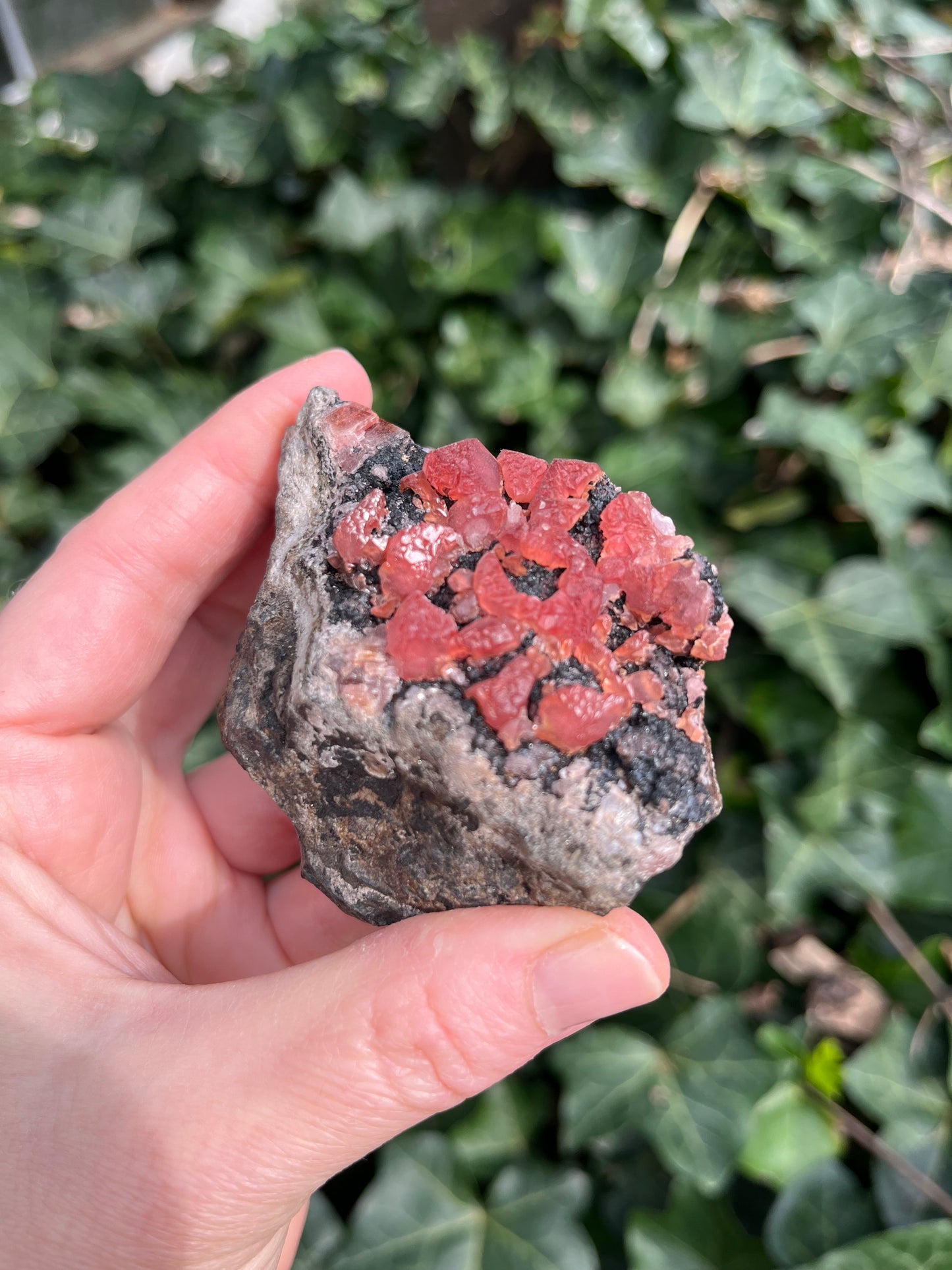 Rhodochrosite - Peru
