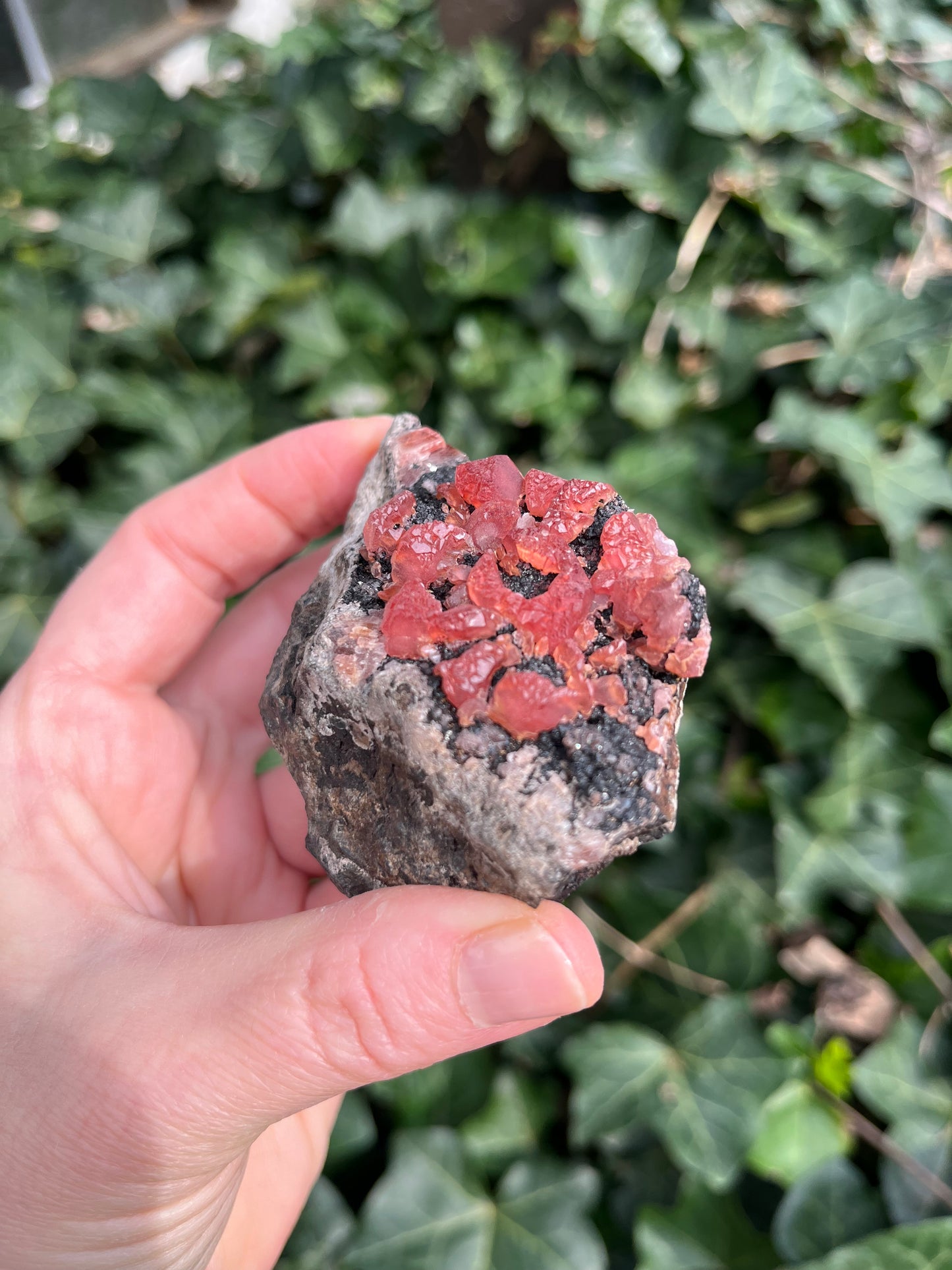 Rhodochrosite - Peru