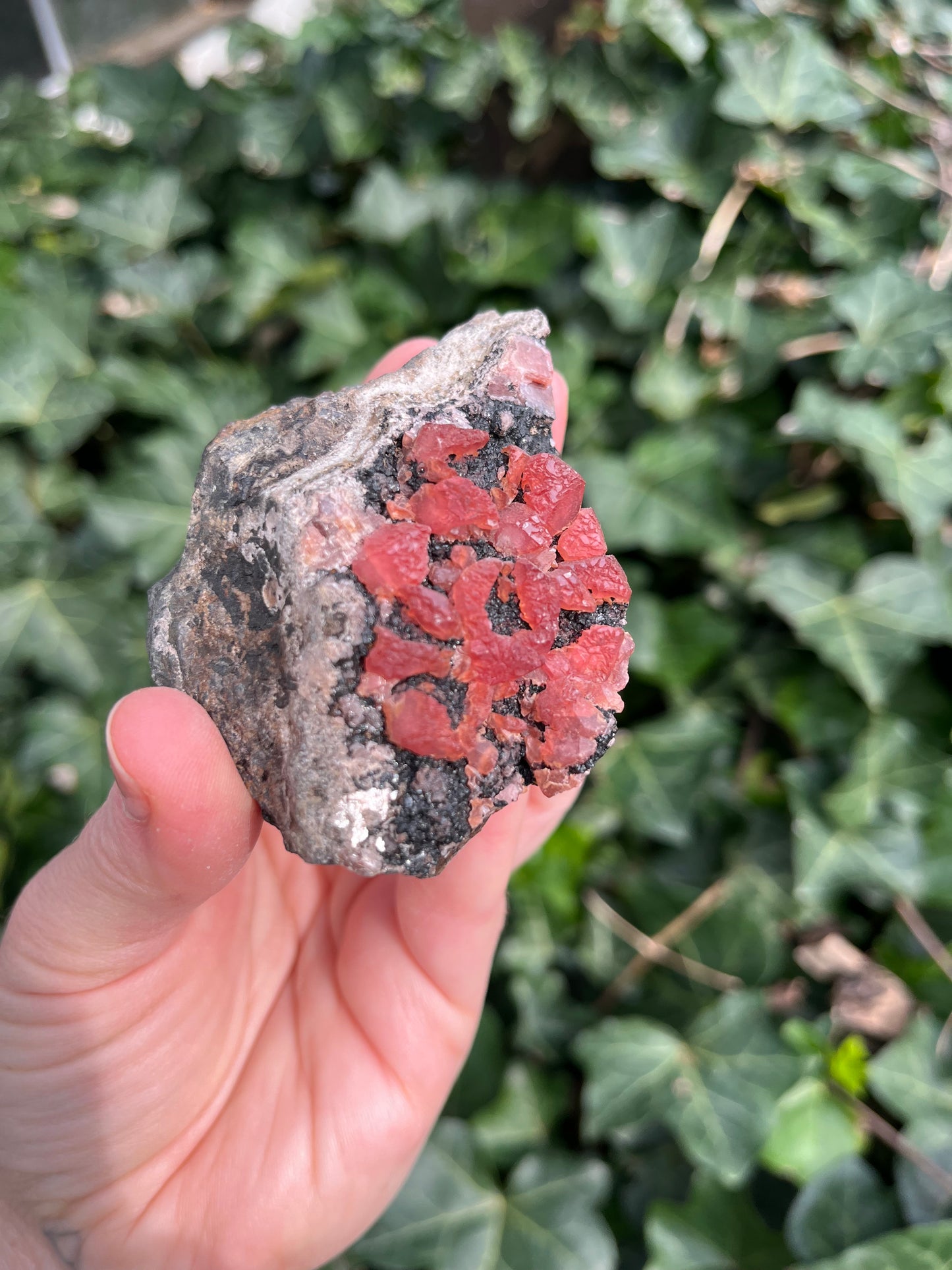 Rhodochrosite - Peru