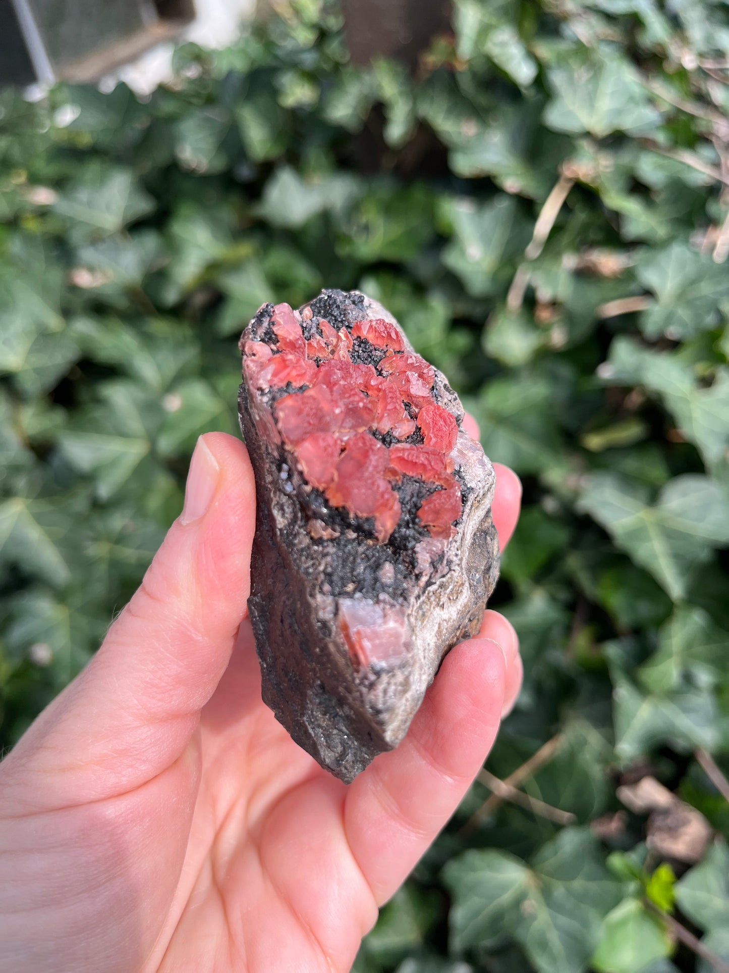 Rhodochrosite - Peru