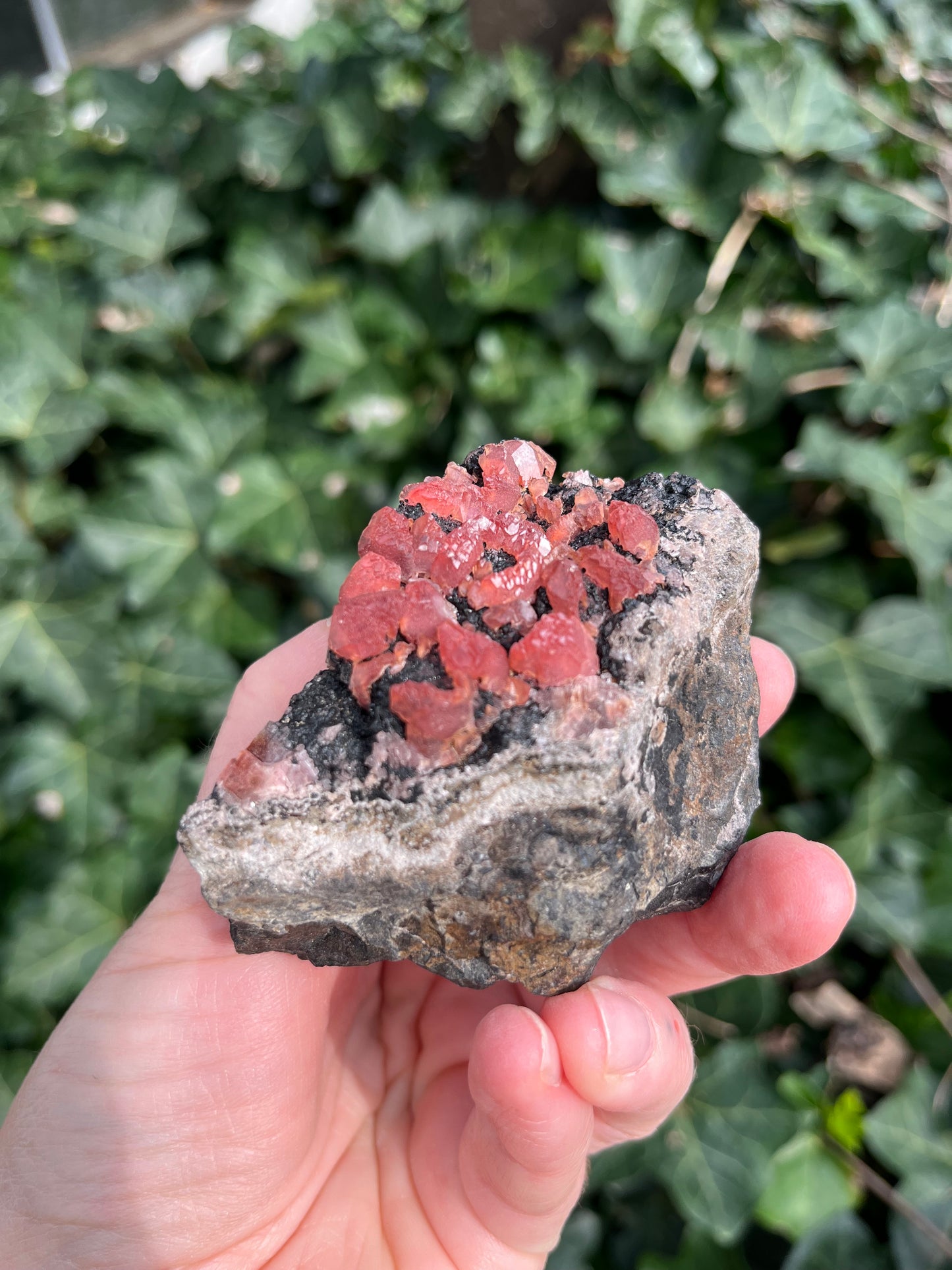 Rhodochrosite - Peru