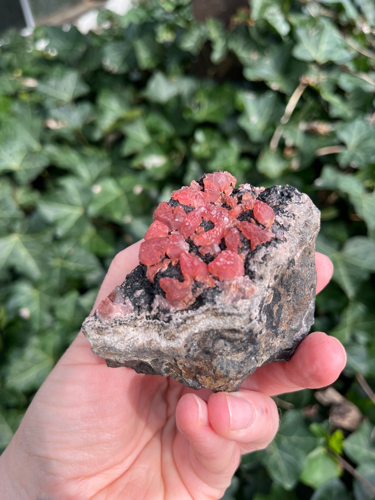 Rhodochrosite - Peru