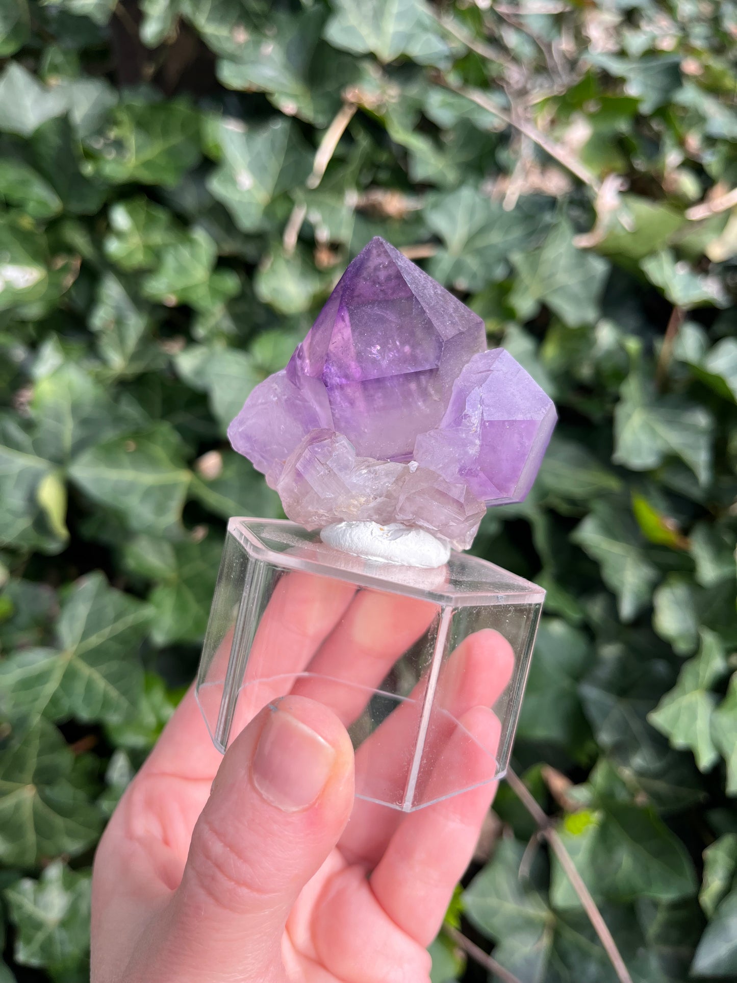 Amethyst - Georgia