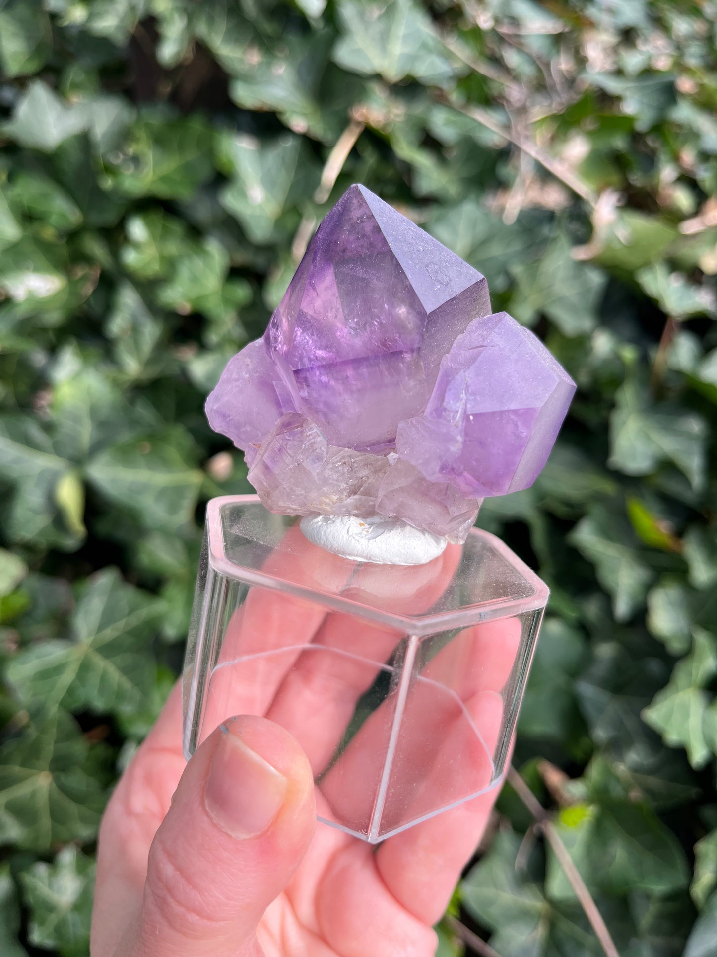 Amethyst - Georgia