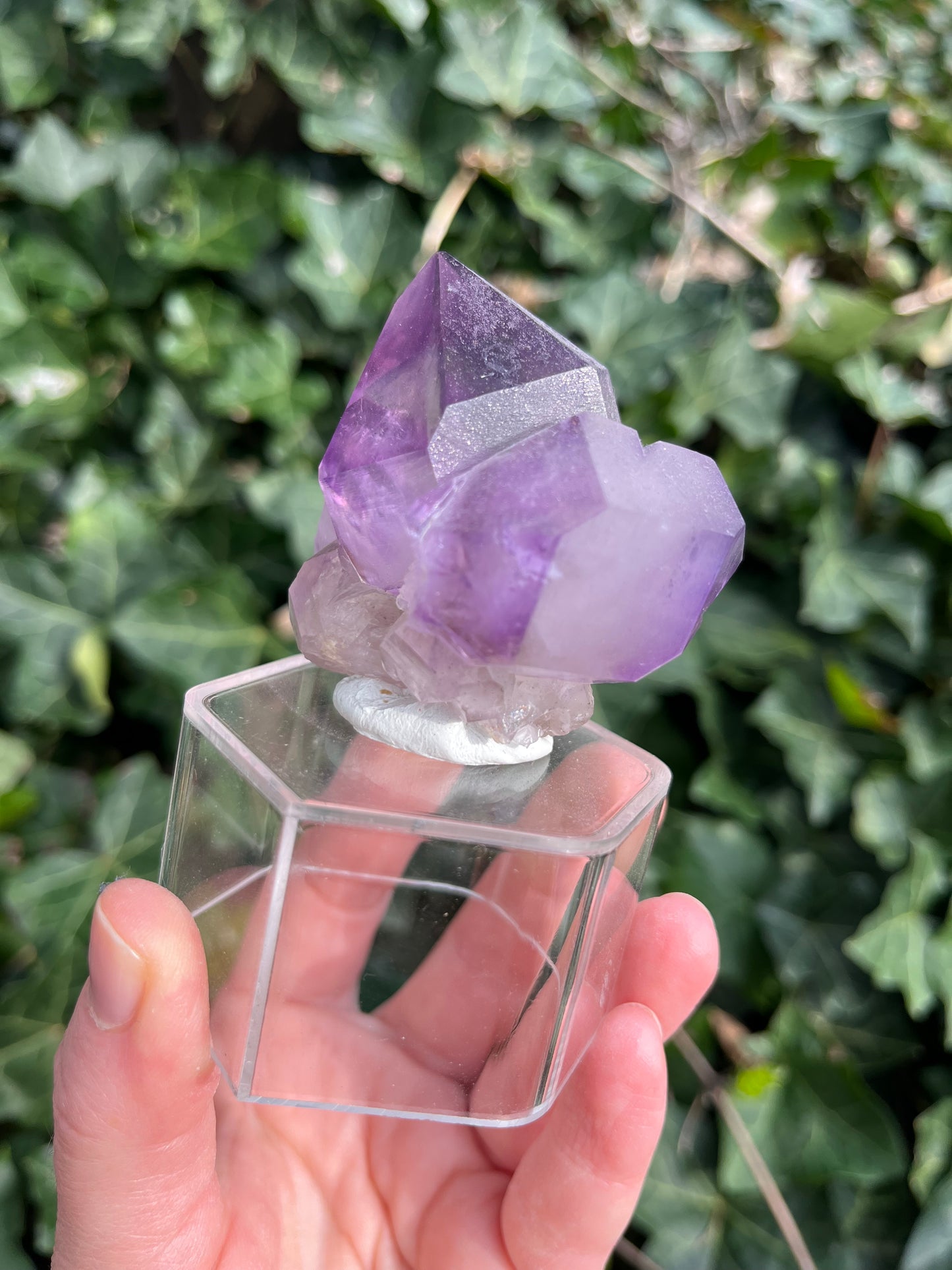 Amethyst - Georgia
