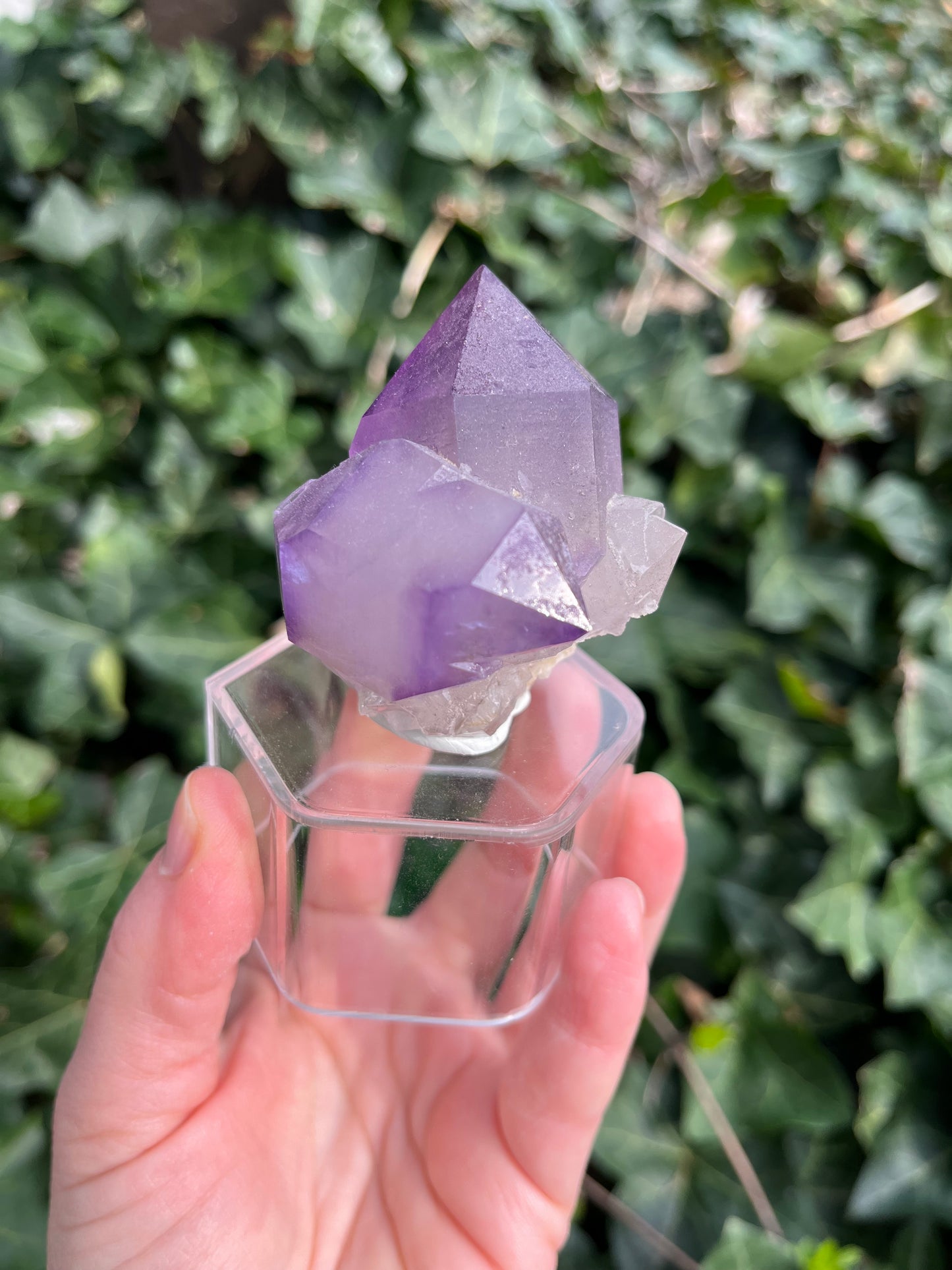 Amethyst - Georgia