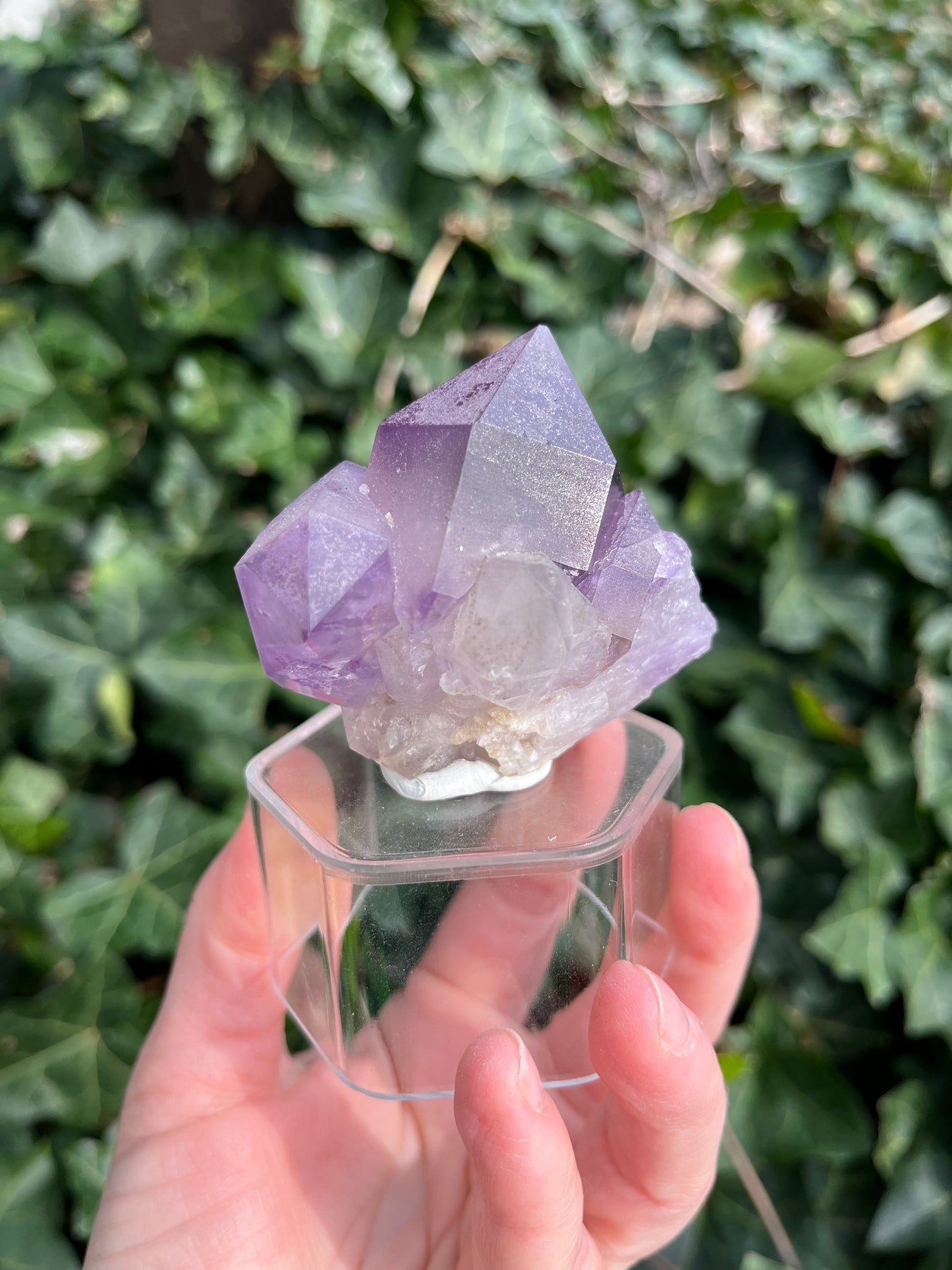 Amethyst - Georgia