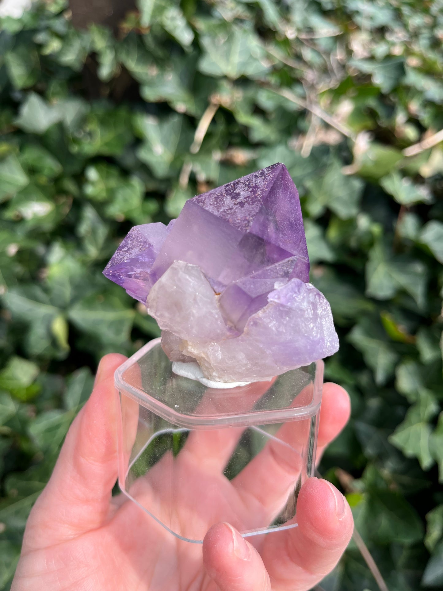 Amethyst - Georgia
