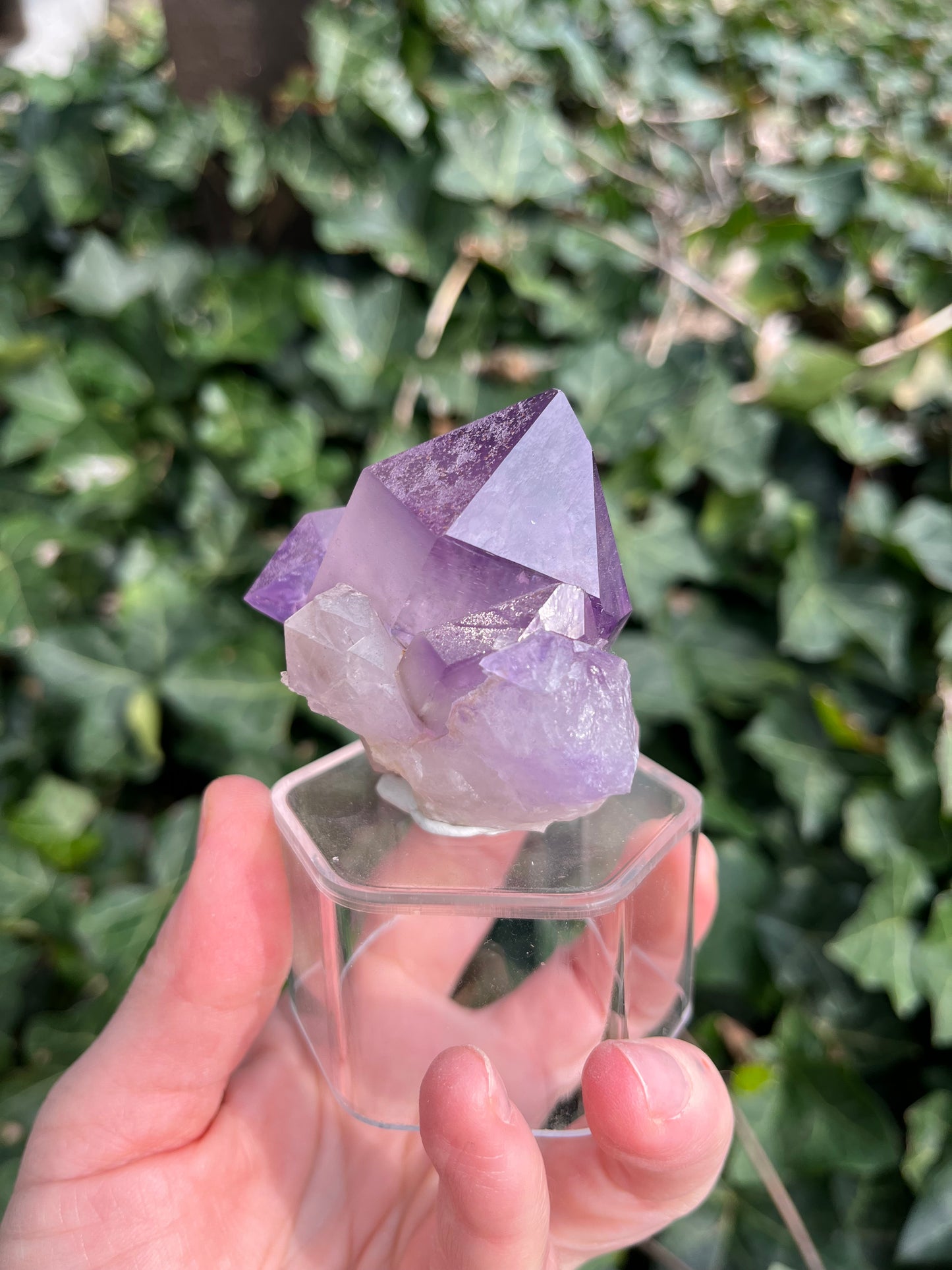 Amethyst - Georgia