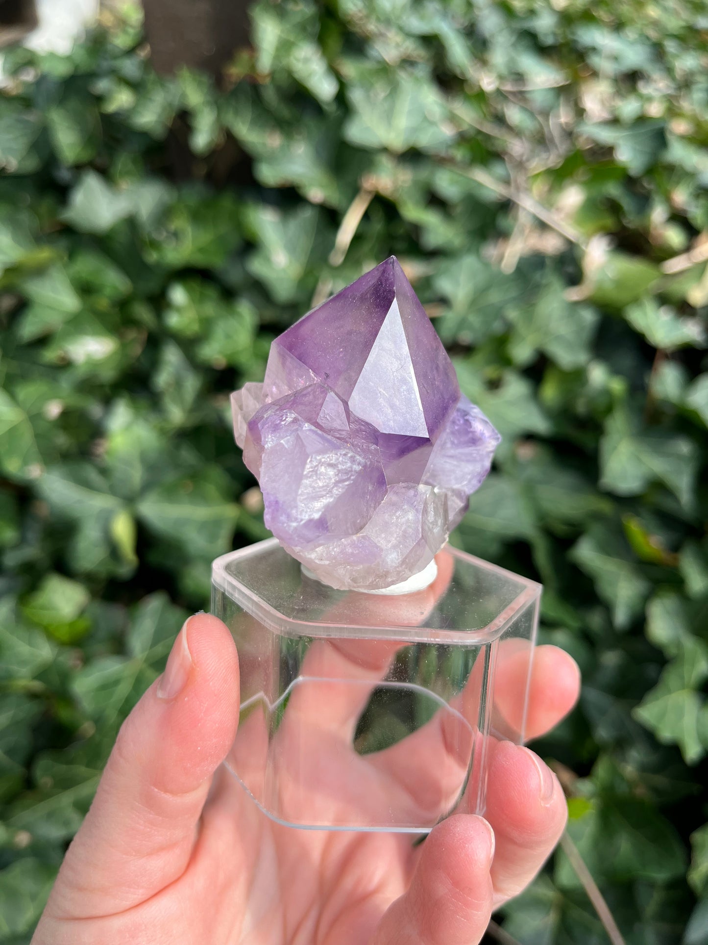 Amethyst - Georgia