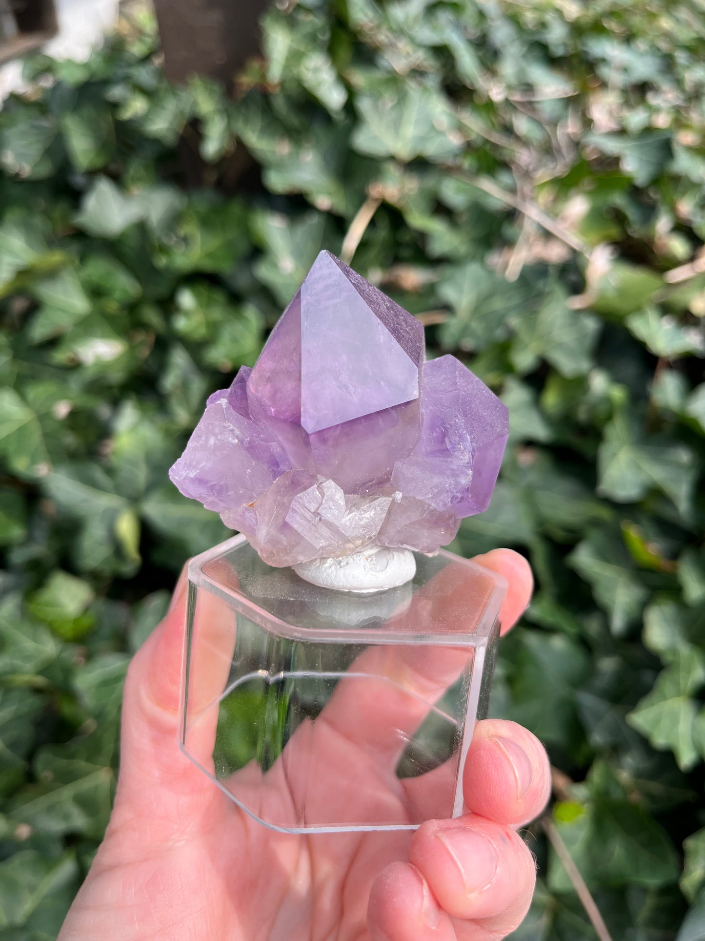 Amethyst - Georgia