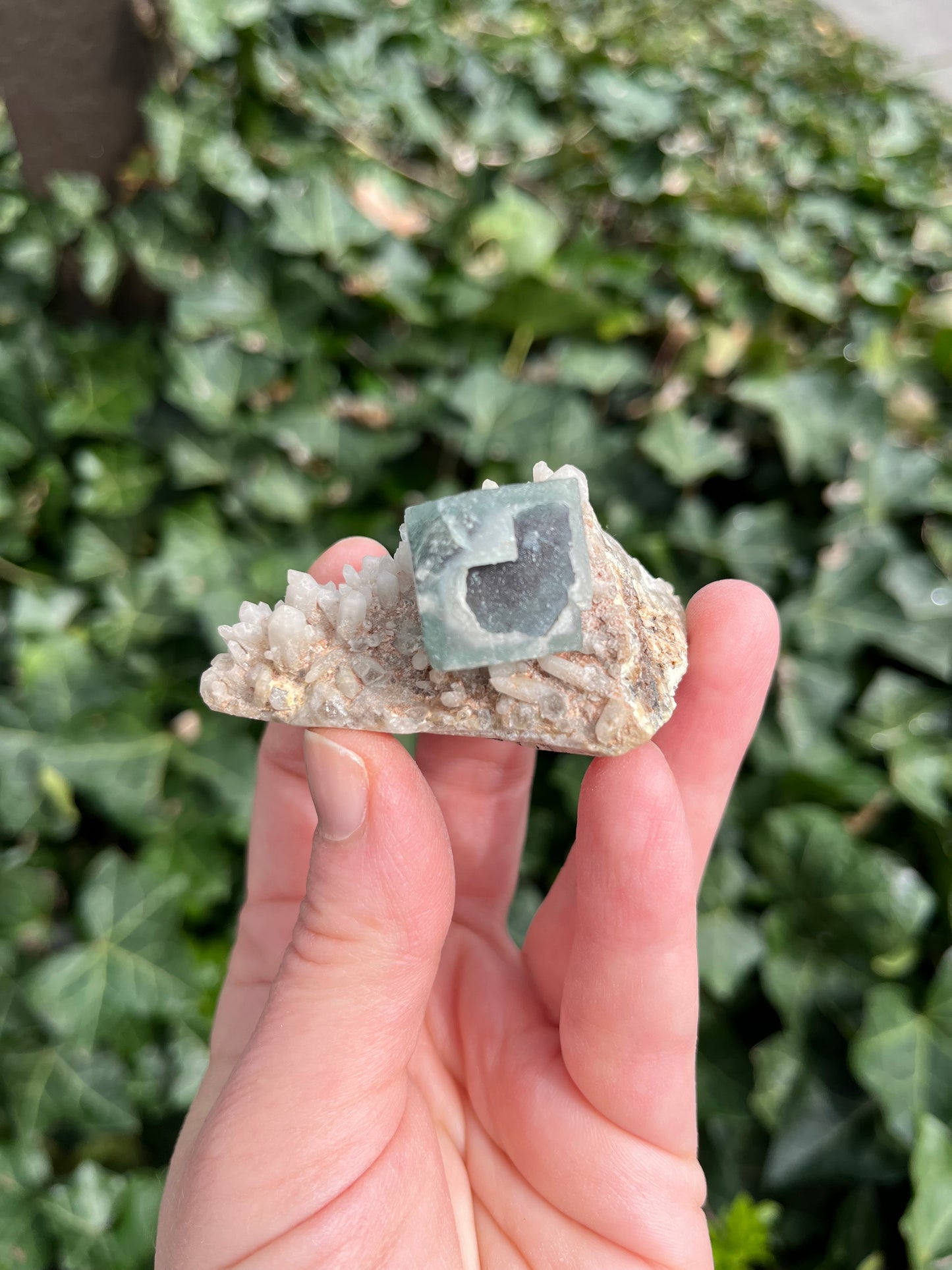 Fluorite on Quartz - Erongo Mnt. Region - Namibia - UV Reactive!