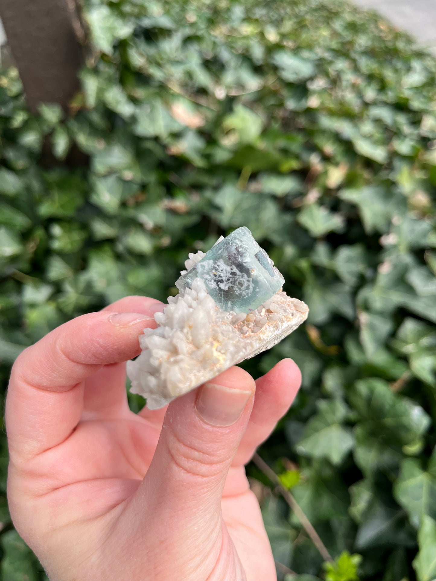 Fluorite on Quartz - Erongo Mnt. Region - Namibia - UV Reactive!
