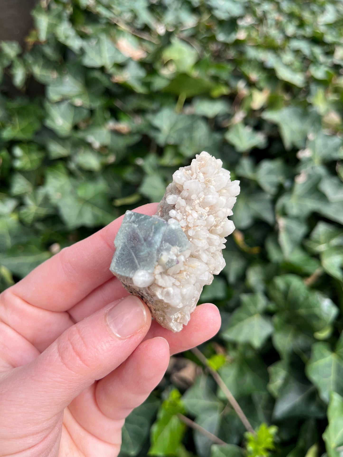 Fluorite on Quartz - Erongo Mnt. Region - Namibia - UV Reactive!