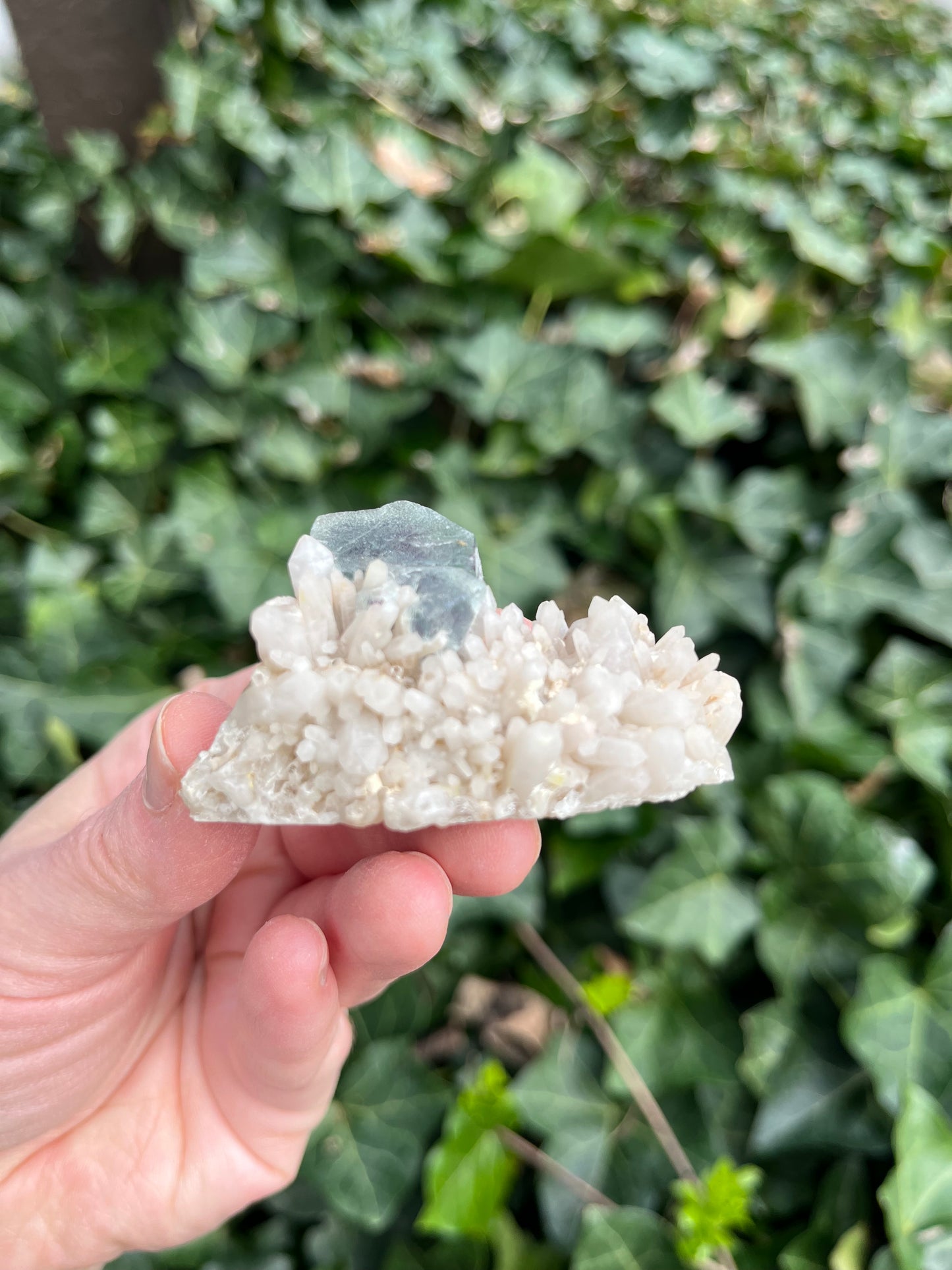 Fluorite on Quartz - Erongo Mnt. Region - Namibia - UV Reactive!