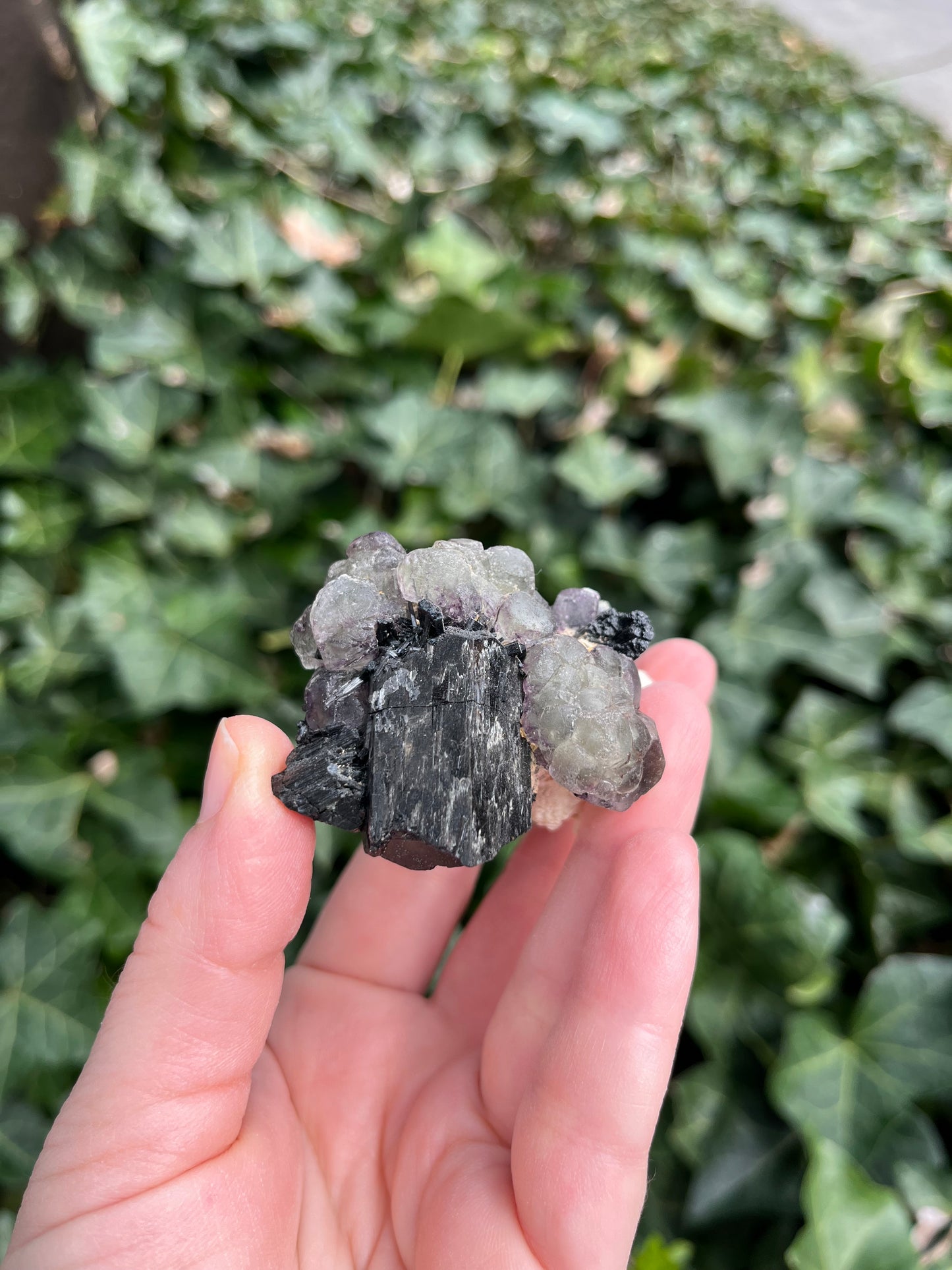 Fluorite, Schorl on Feldspar - Erongo Mnt. Region - Namibia - UV Reactive!
