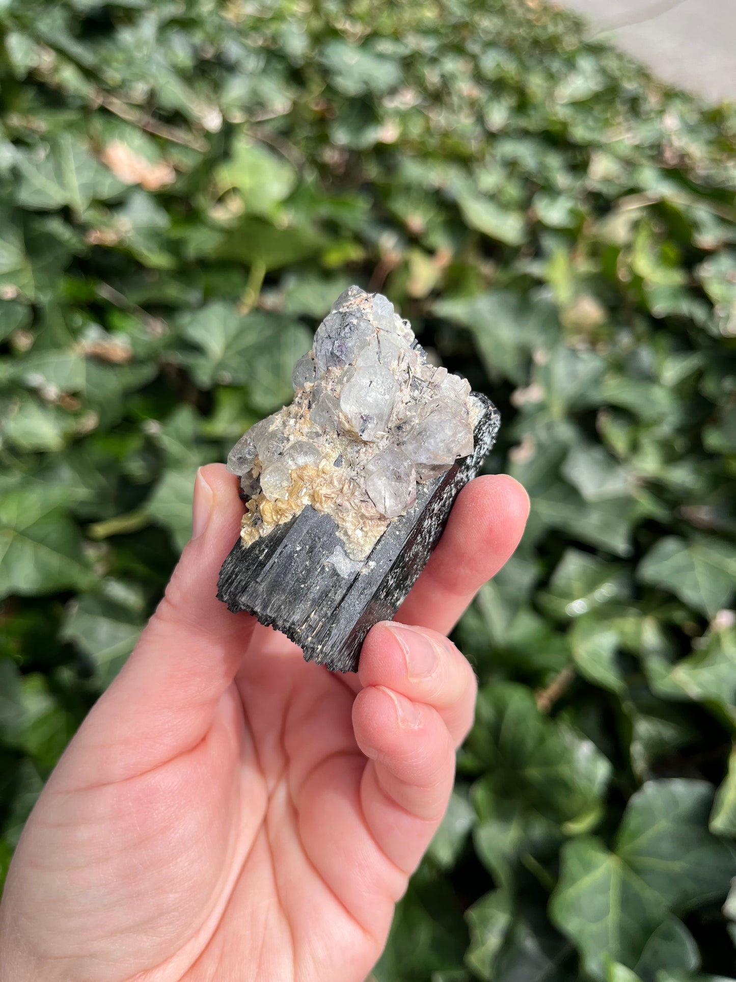 Fluorite on Schorl - Erongo Mnt. Region - Namibia - UV Reactive!