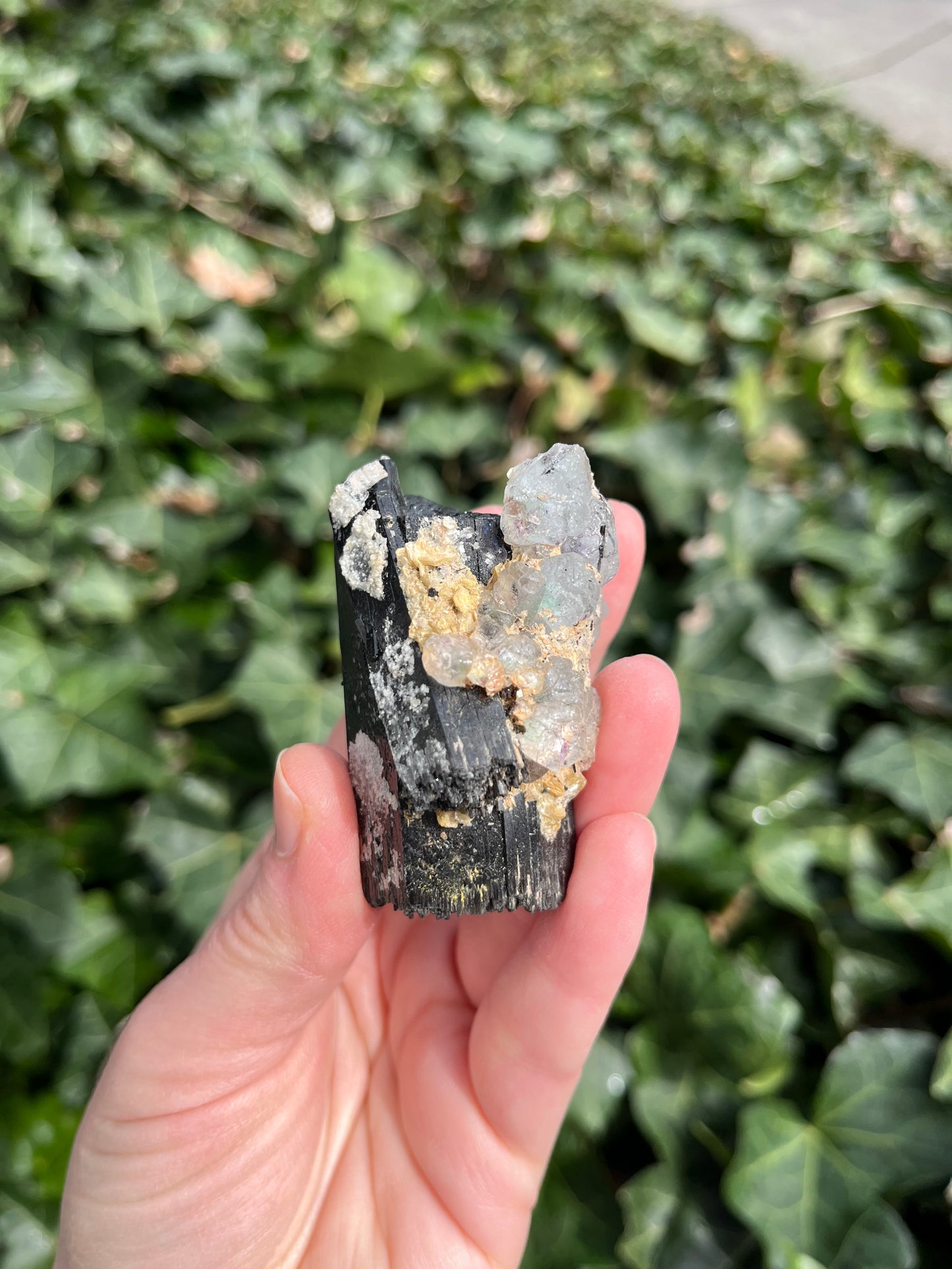 Fluorite on Schorl - Erongo Mnt. Region - Namibia - UV Reactive!