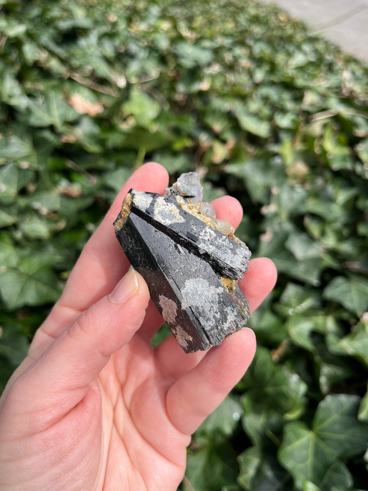 Fluorite on Schorl - Erongo Mnt. Region - Namibia - UV Reactive!