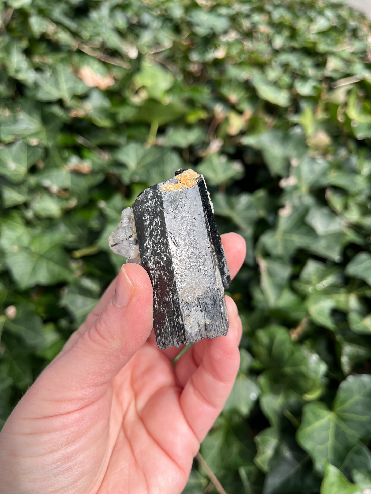 Fluorite on Schorl - Erongo Mnt. Region - Namibia - UV Reactive!