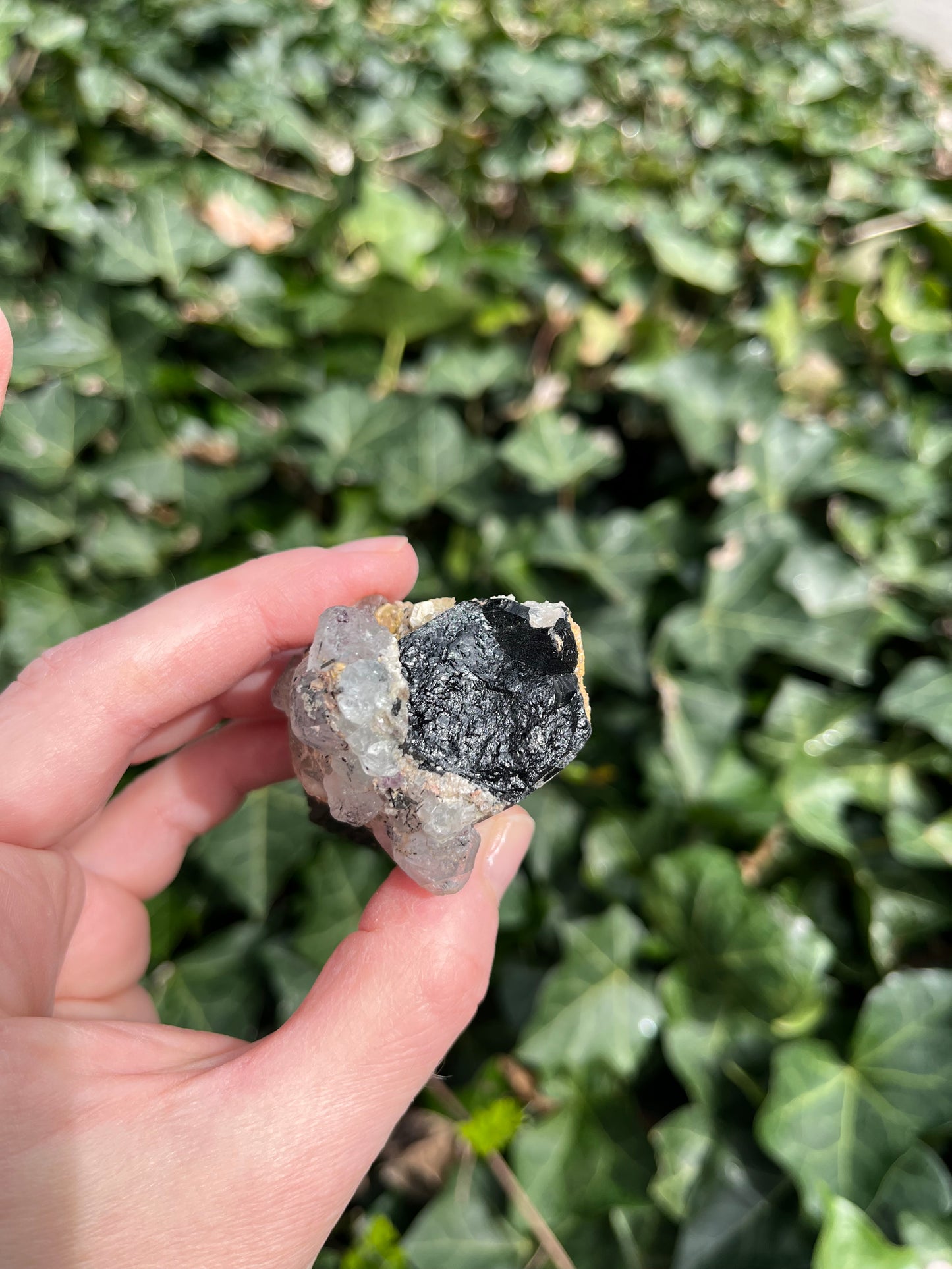 Fluorite on Schorl - Erongo Mnt. Region - Namibia - UV Reactive!