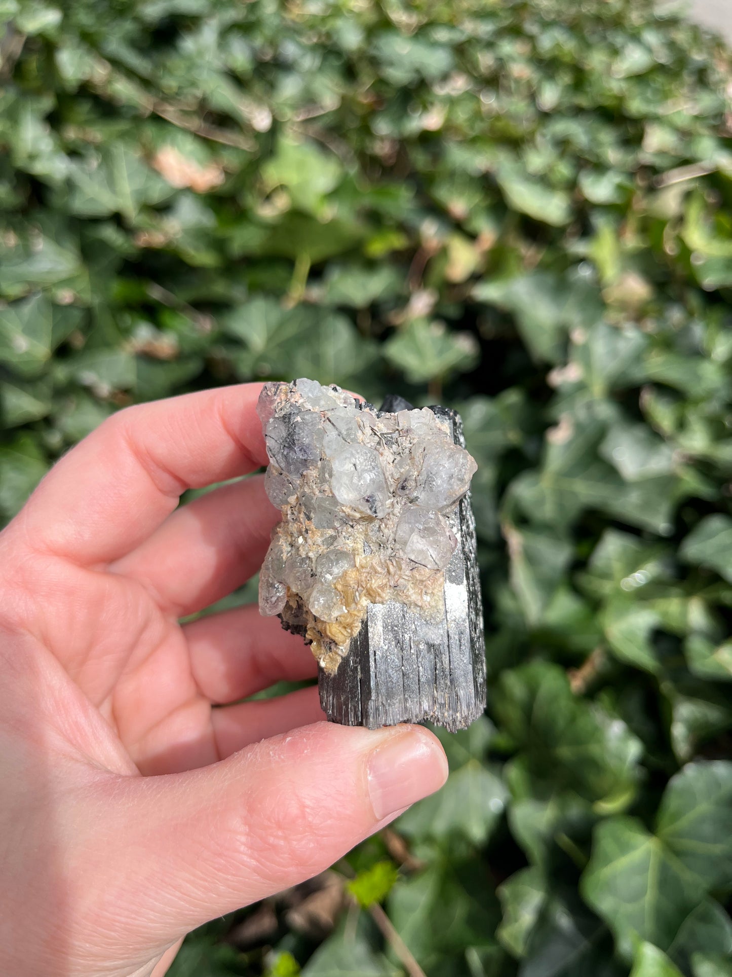 Fluorite on Schorl - Erongo Mnt. Region - Namibia - UV Reactive!