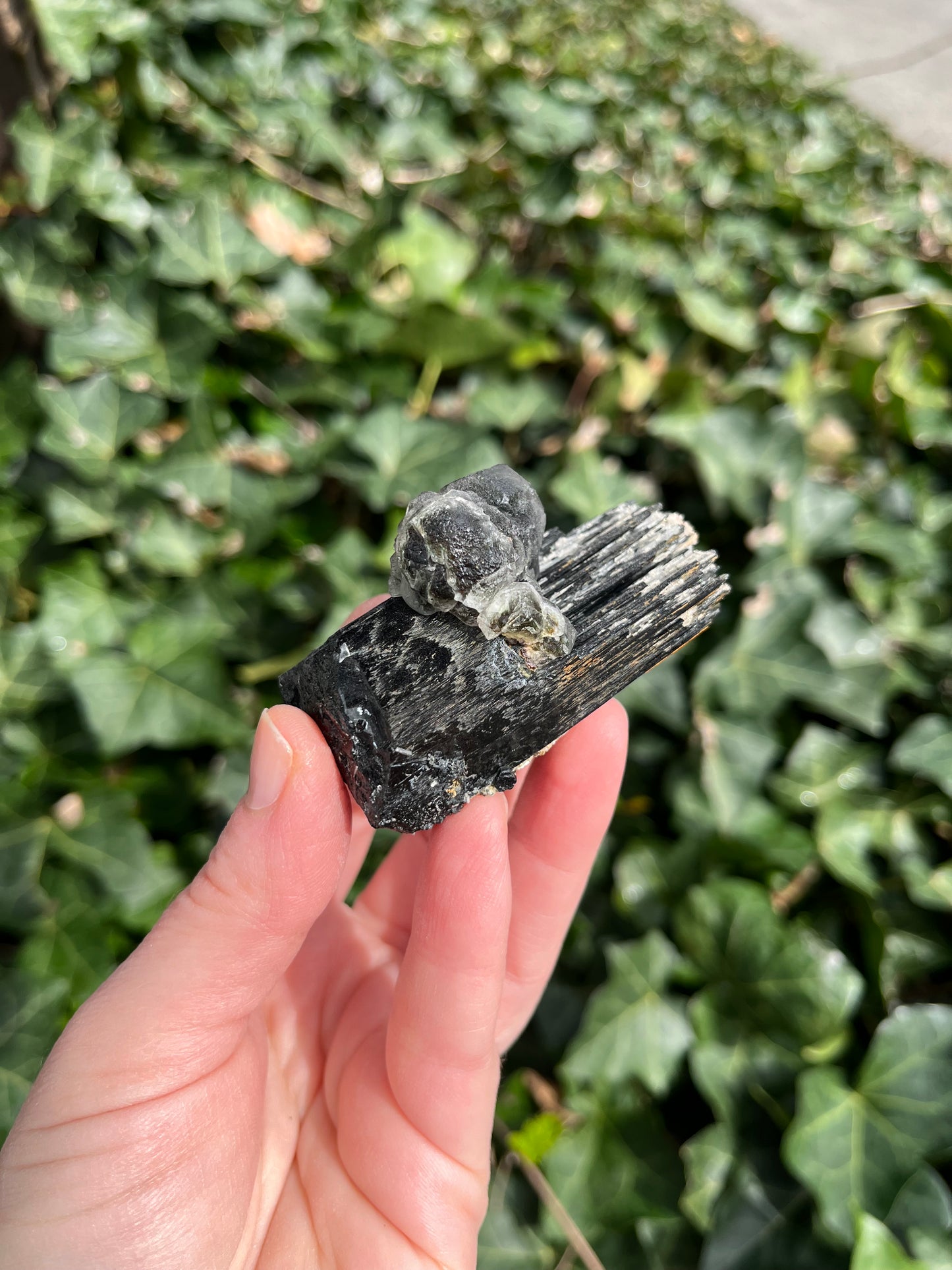 Fluorite on Schorl - Erongo Mnt. Region - Namibia - UV Reactive!