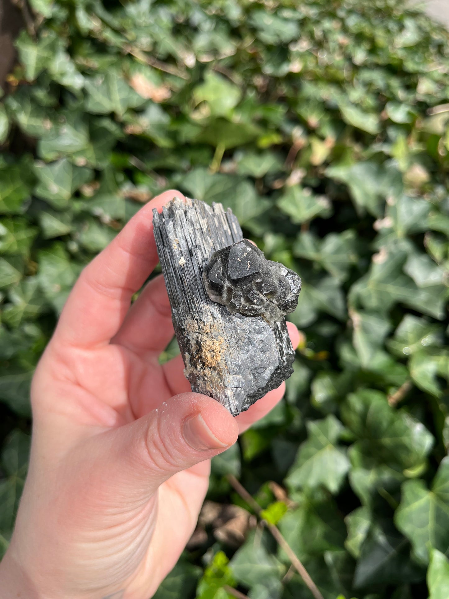 Fluorite on Schorl - Erongo Mnt. Region - Namibia - UV Reactive!