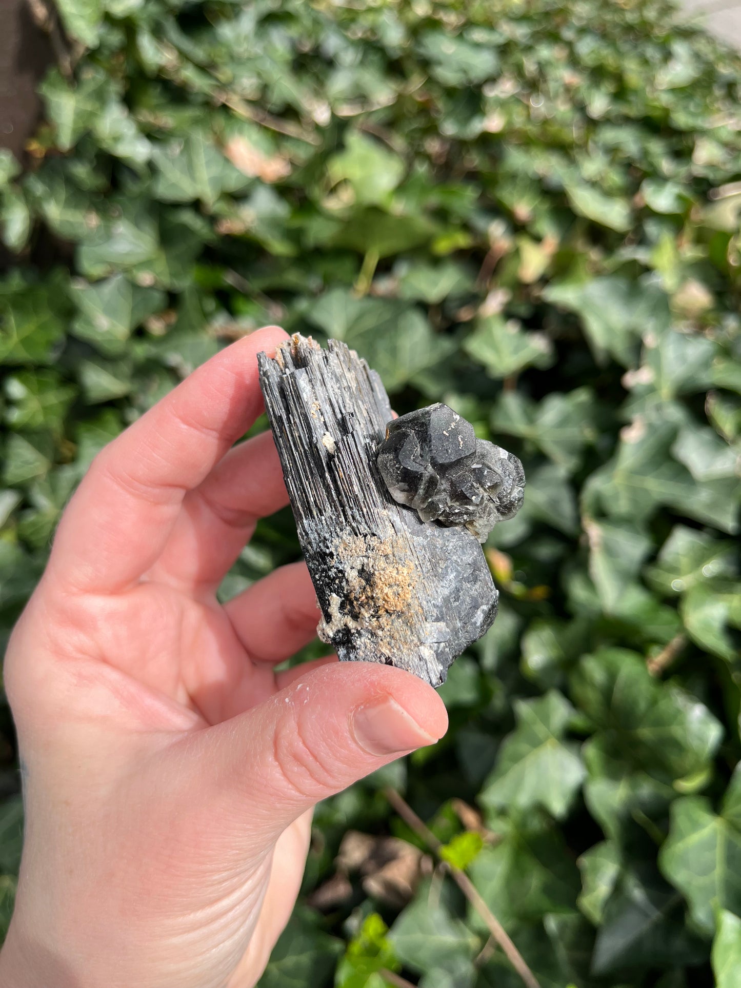 Fluorite on Schorl - Erongo Mnt. Region - Namibia - UV Reactive!
