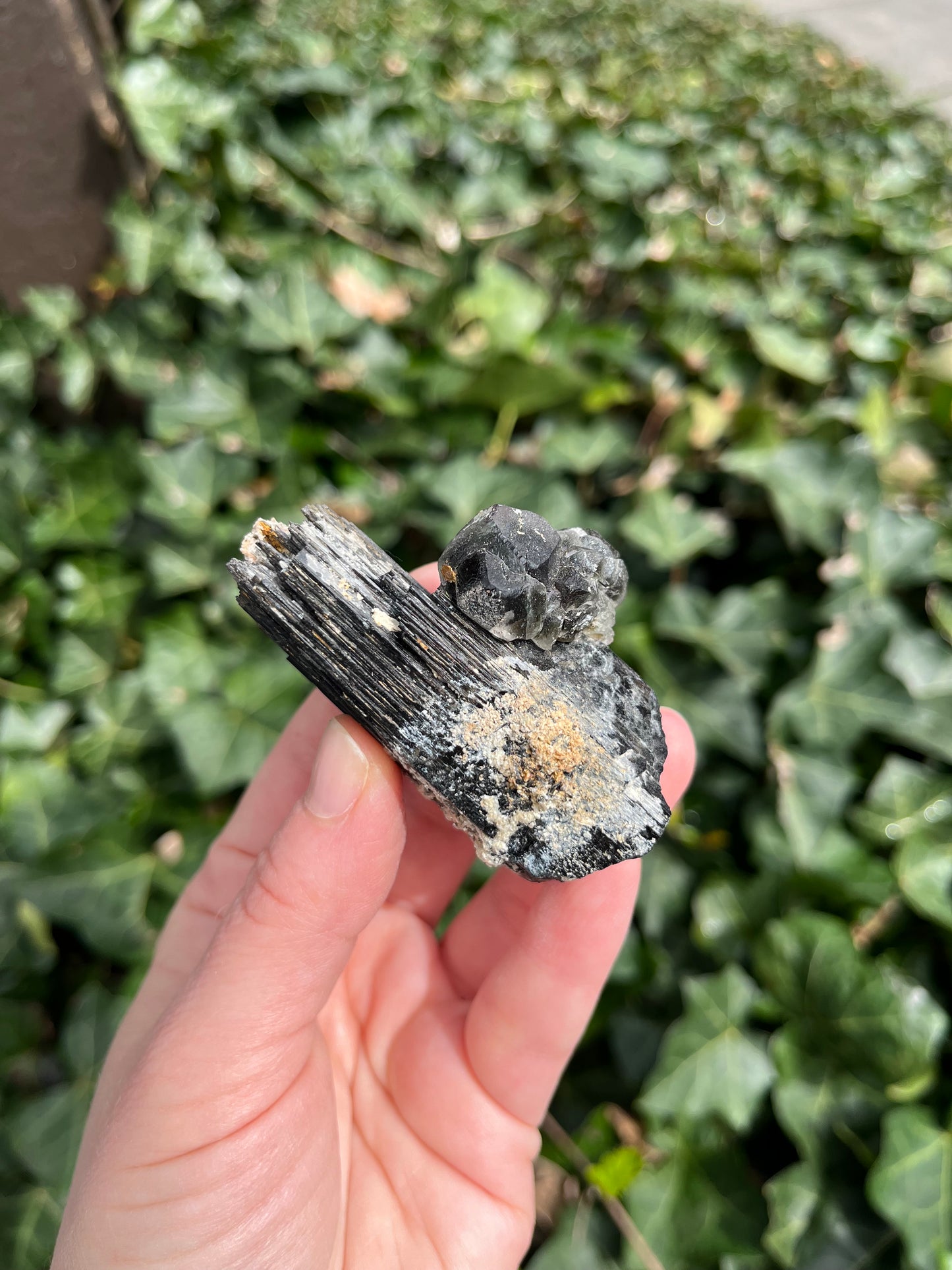 Fluorite on Schorl - Erongo Mnt. Region - Namibia - UV Reactive!